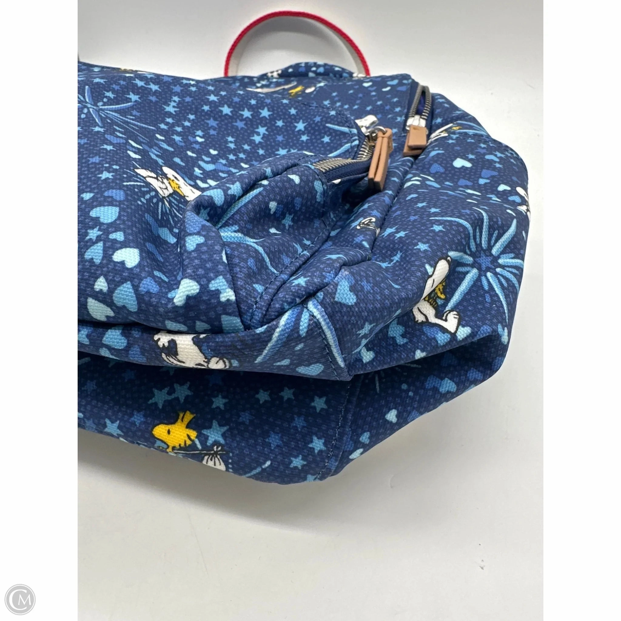 Backpack By Cmb, Size: Large