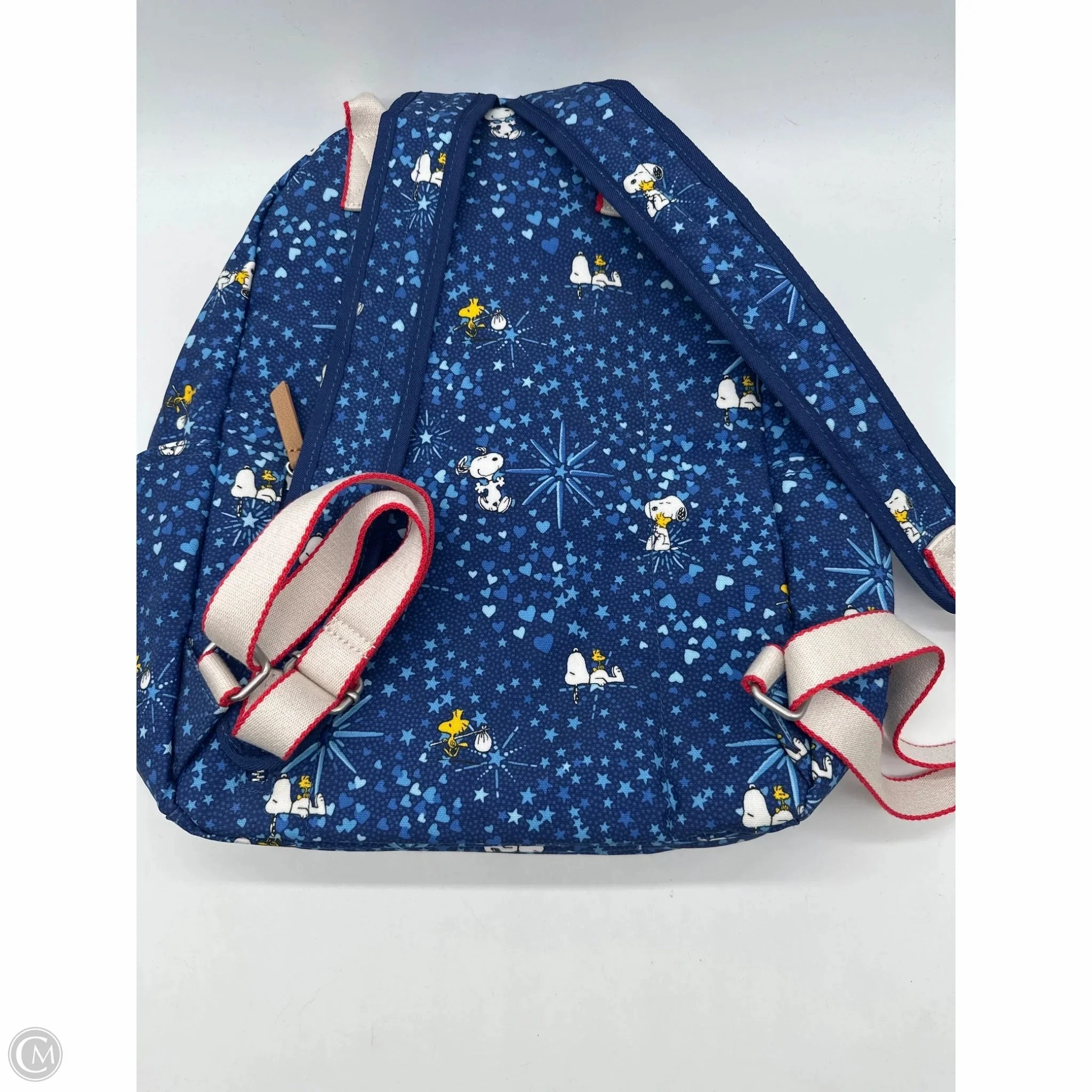 Backpack By Cmb, Size: Large