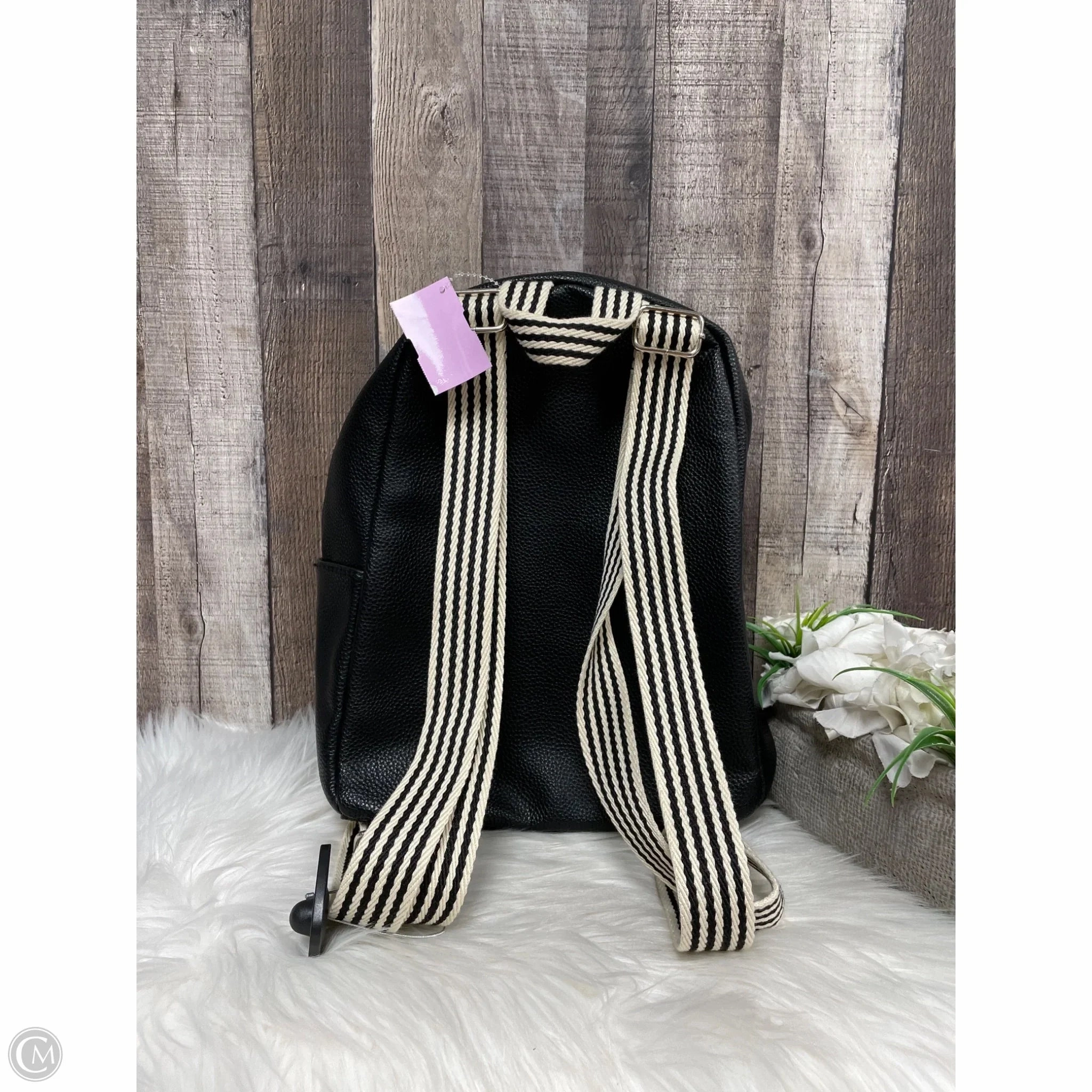 Backpack By Cmf, Size: Medium