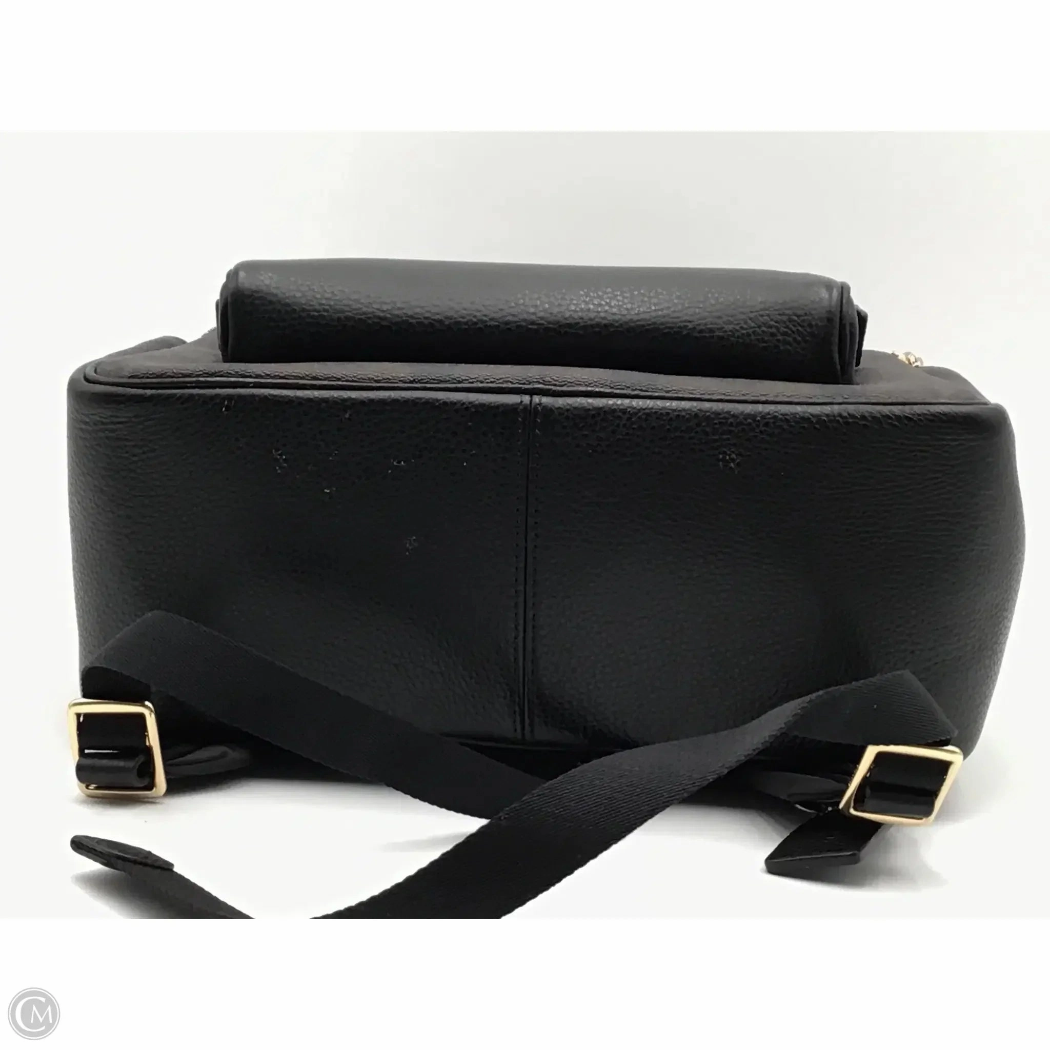 Backpack Designer By Coach, Size: Medium