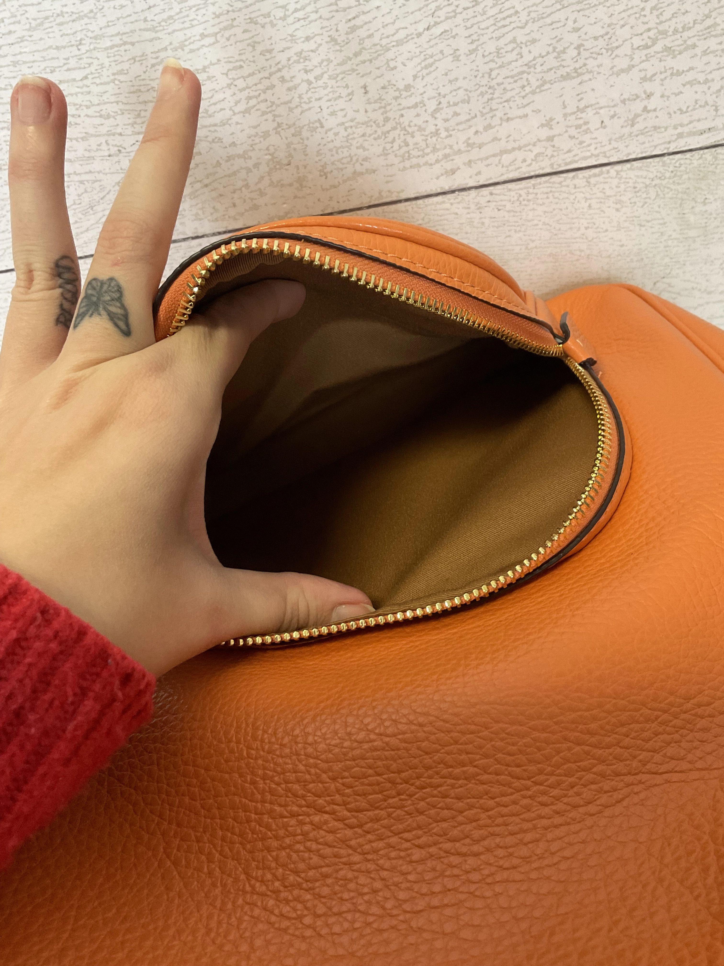 Backpack Designer By Coach  Size: Medium