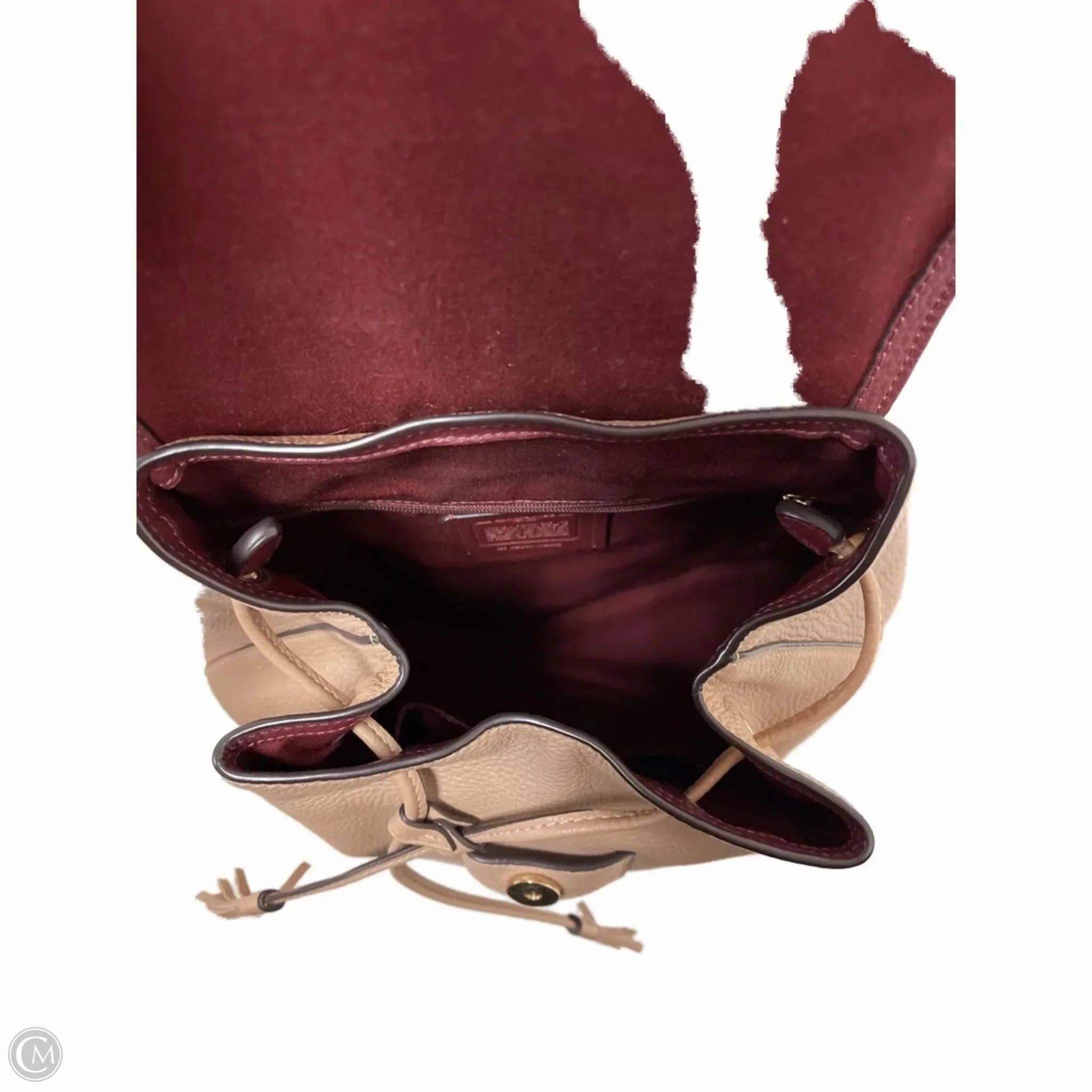 Backpack Designer By Coach, Size: Medium
