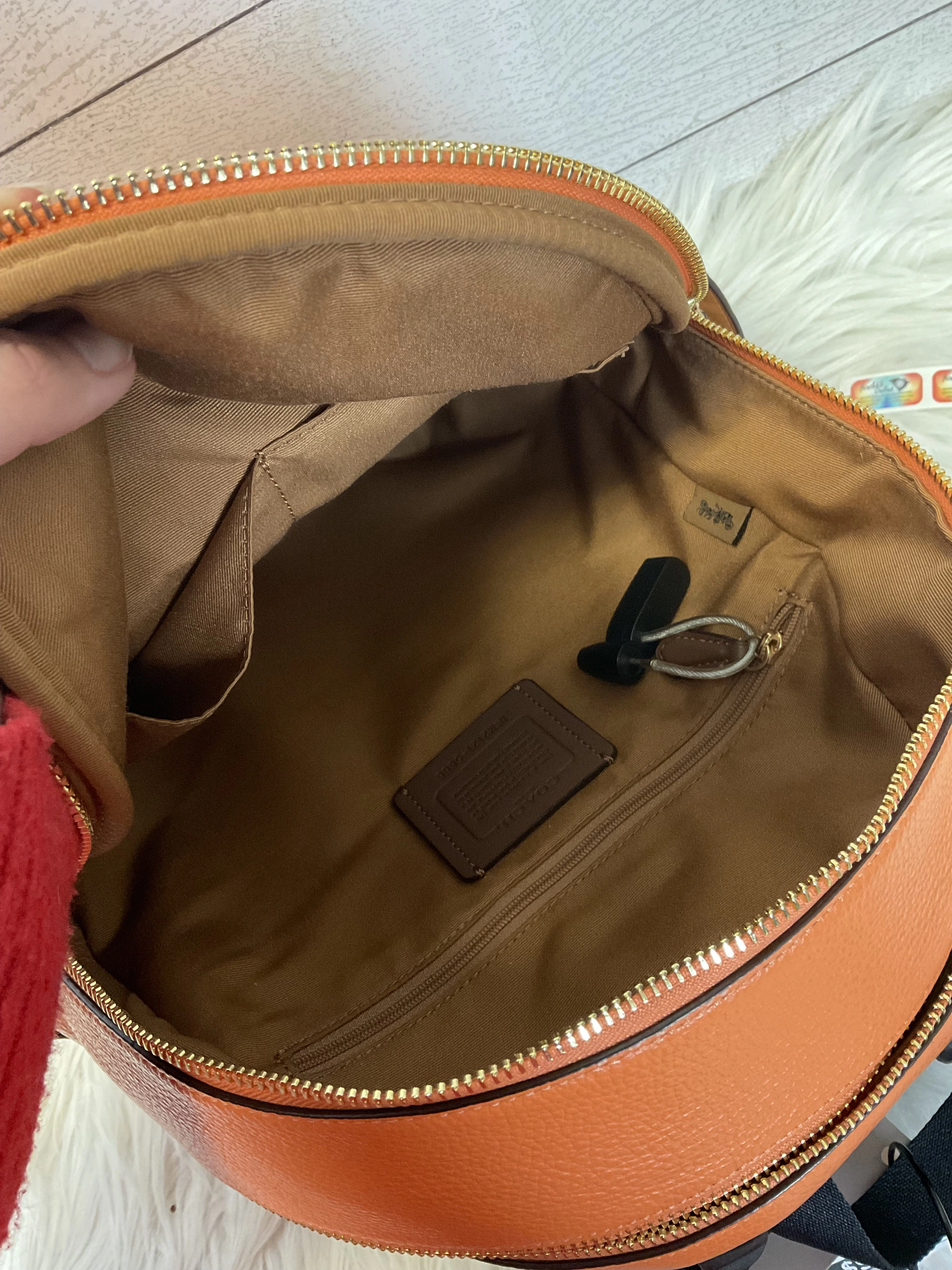 Backpack Designer By Coach  Size: Medium