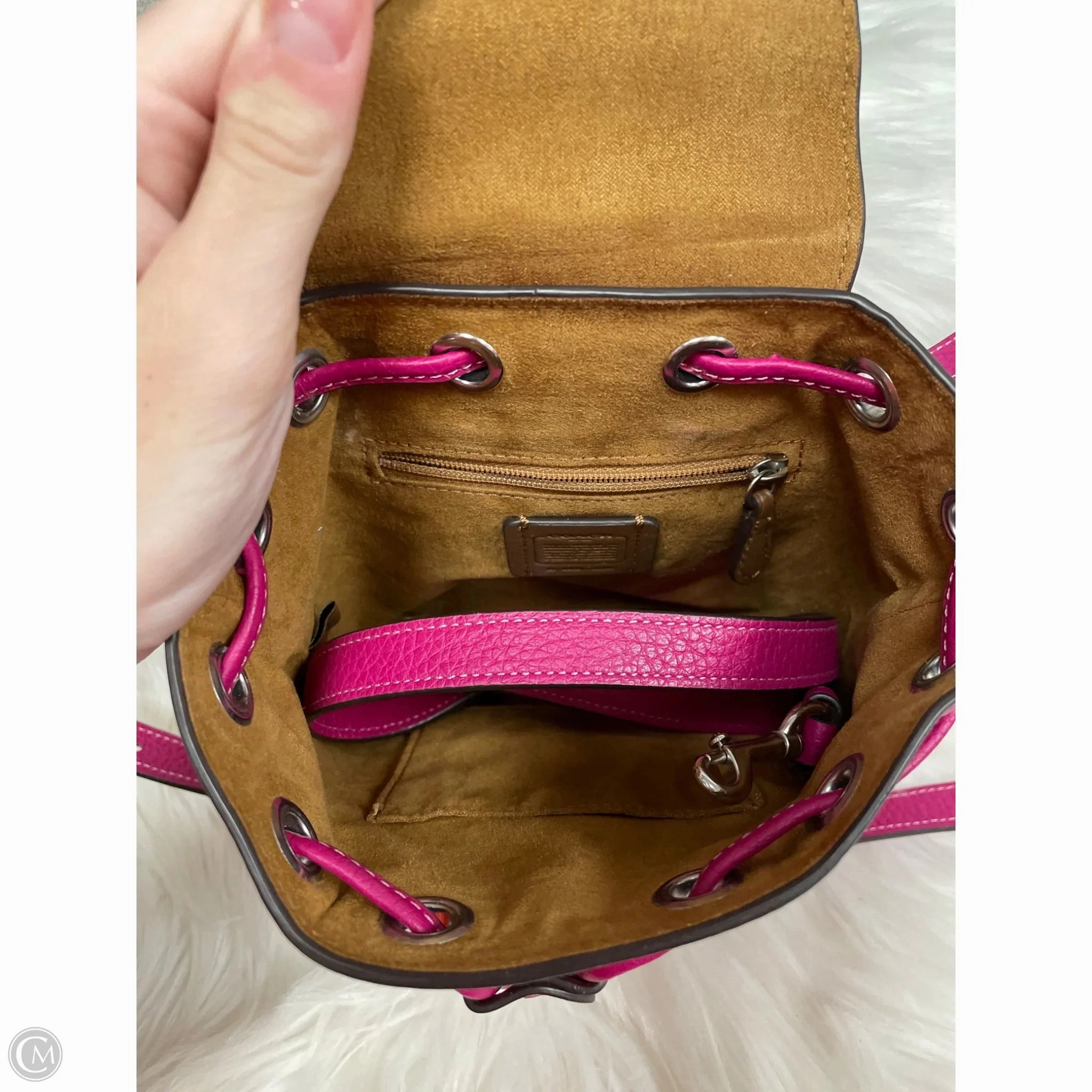 Backpack Designer By Coach, Size: Small