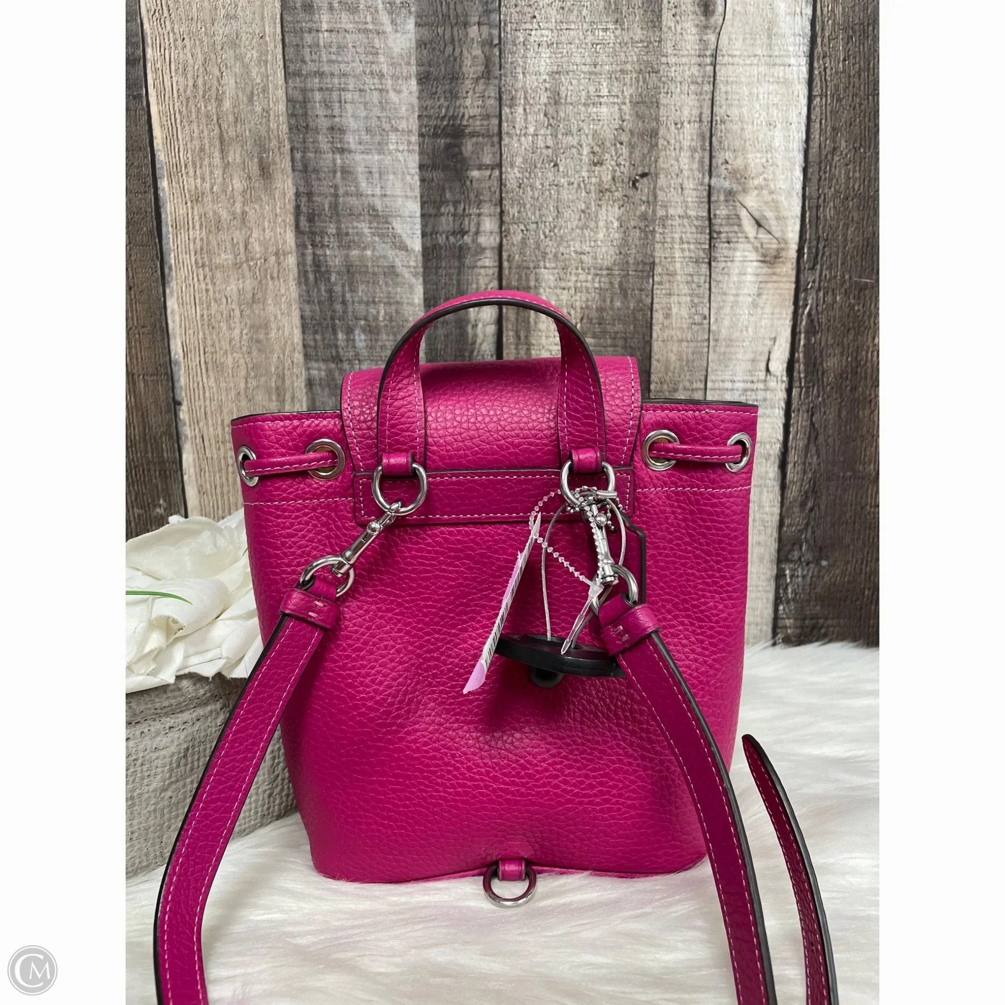 Backpack Designer By Coach, Size: Small