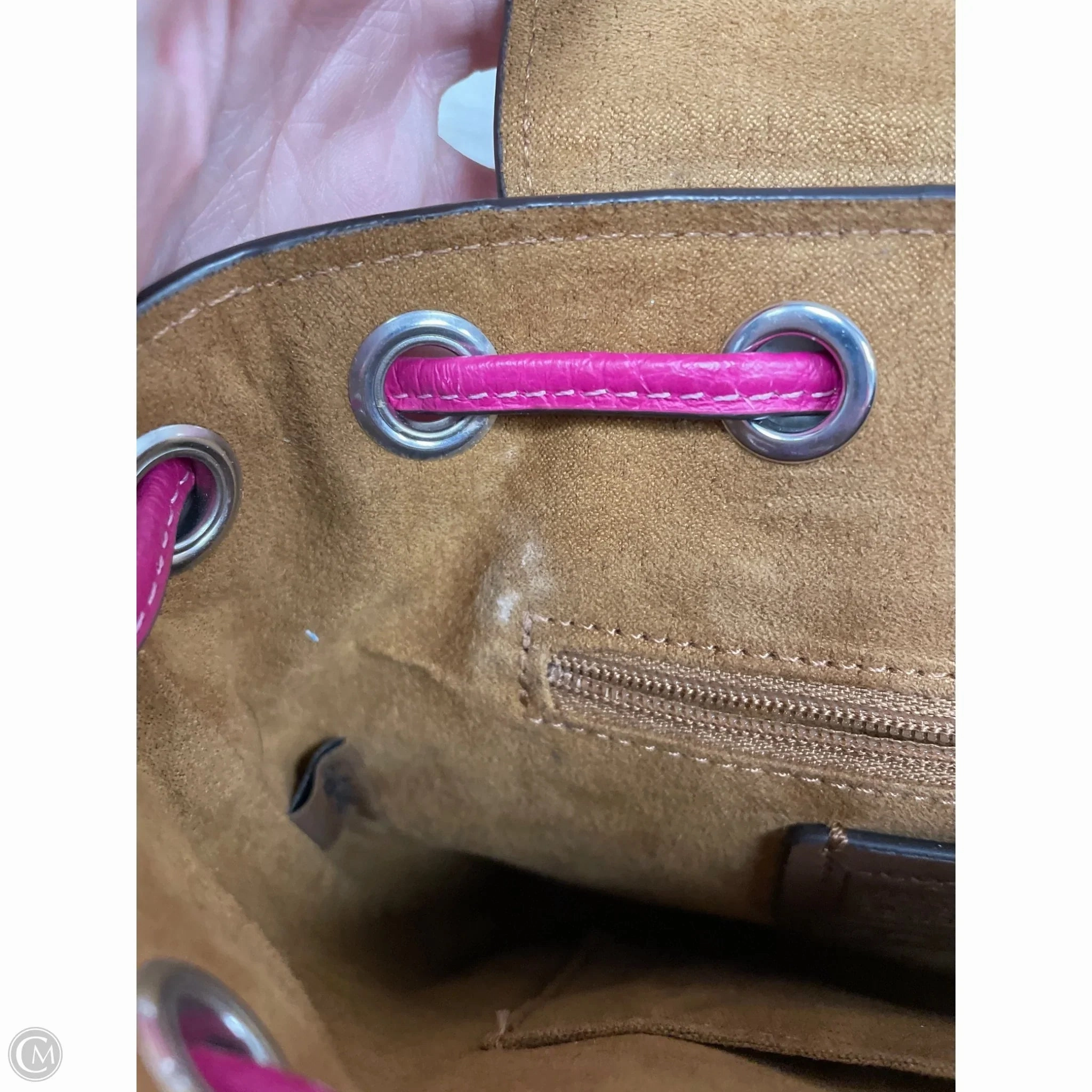 Backpack Designer By Coach, Size: Small