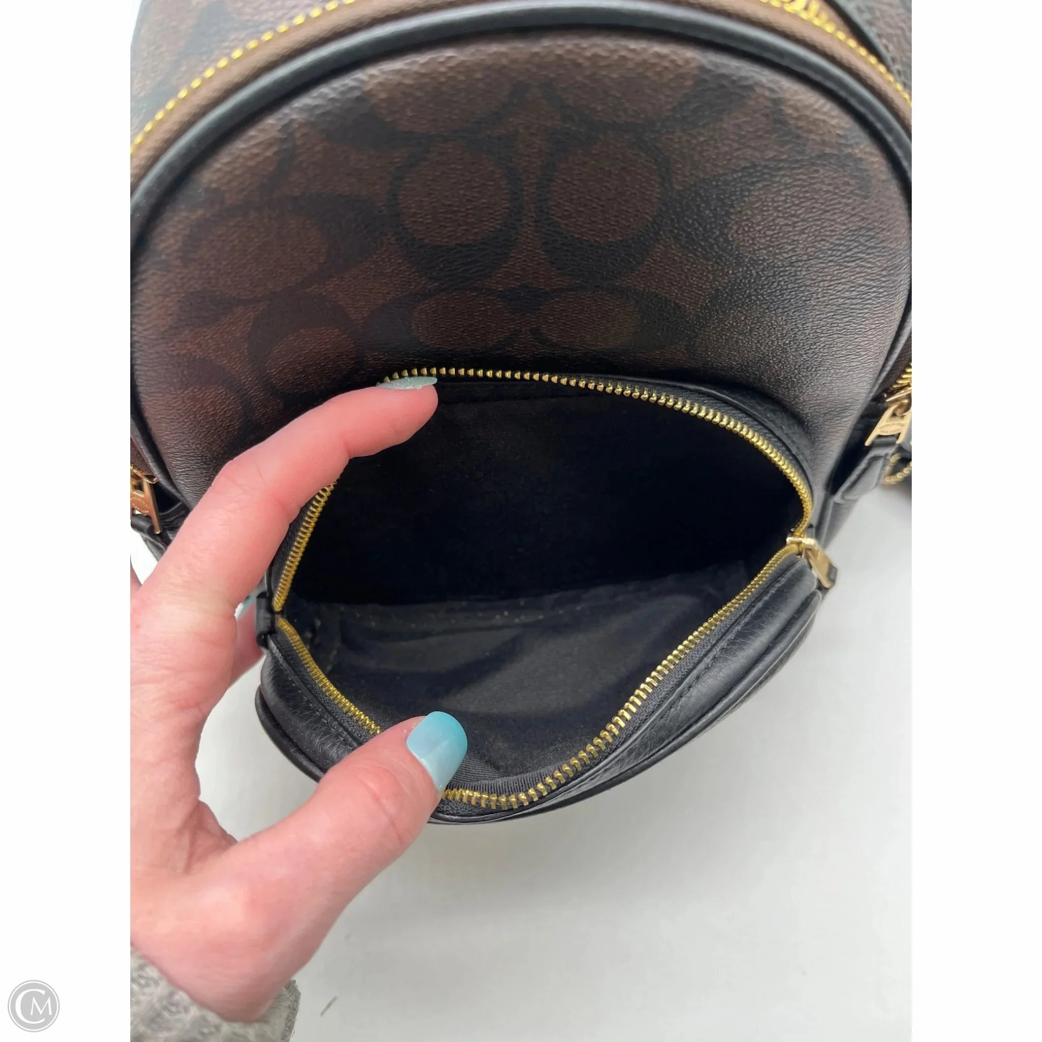 Backpack Designer By Coach, Size: Small
