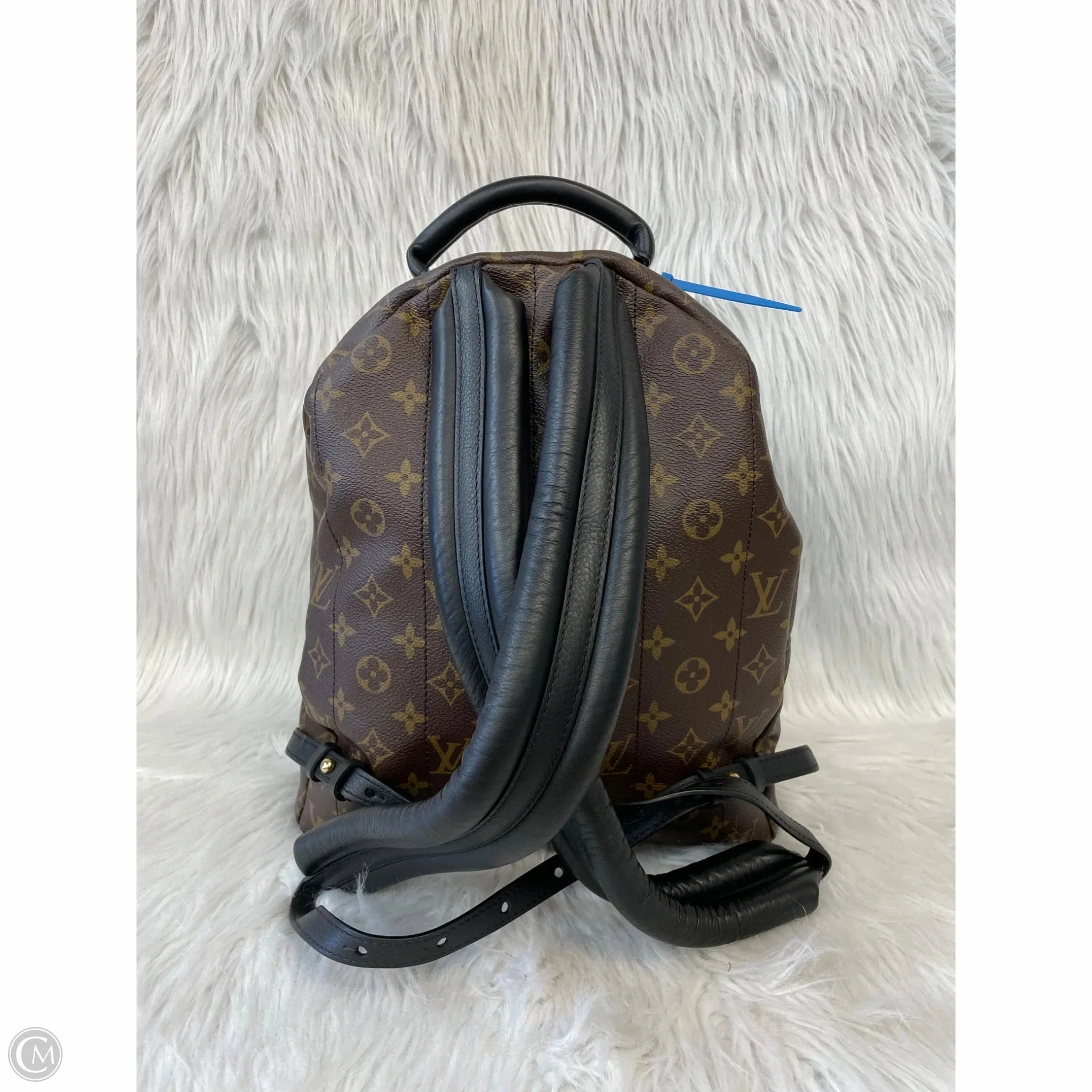 Backpack Luxury Designer By Louis Vuitton, Size: Medium