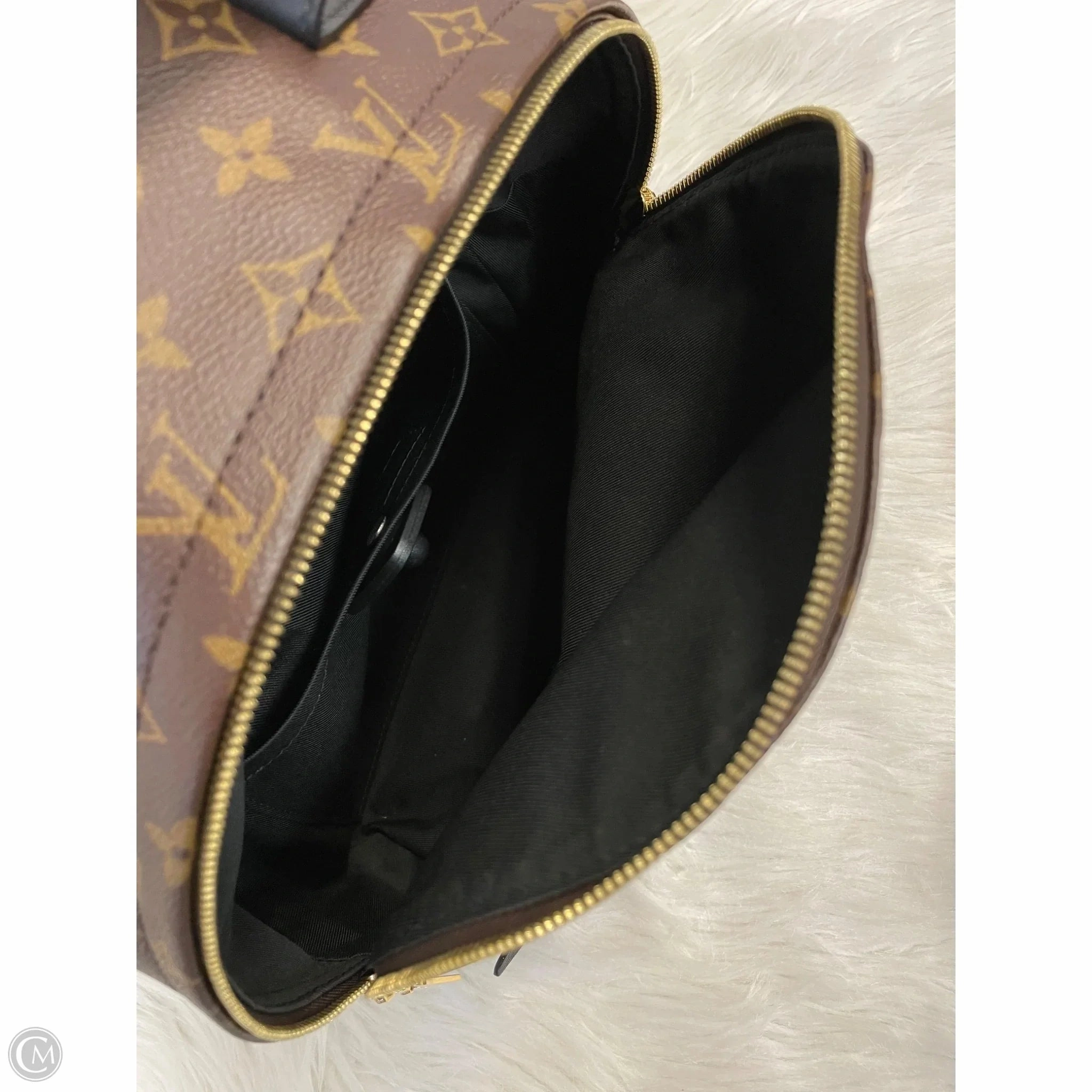 Backpack Luxury Designer By Louis Vuitton, Size: Medium