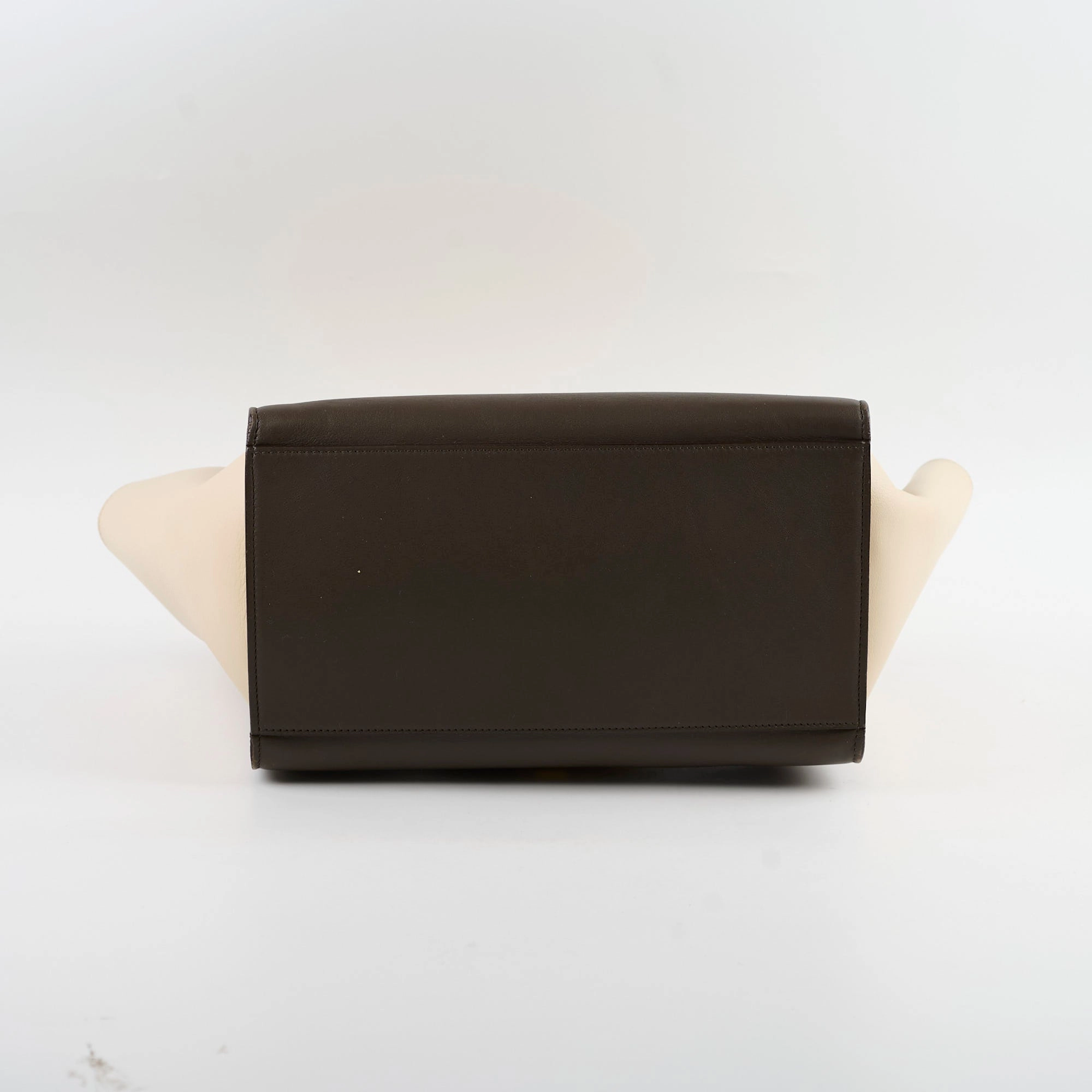 Celine Trapzez Medium Multicolor Bag