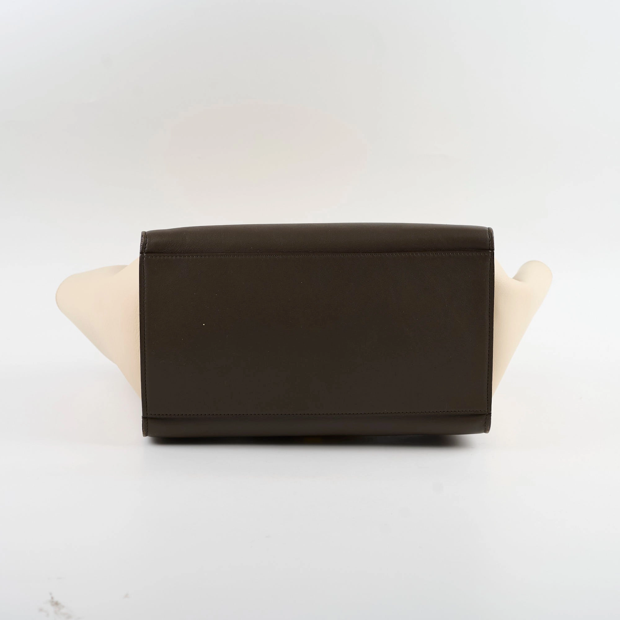Celine Trapzez Medium Multicolor Bag