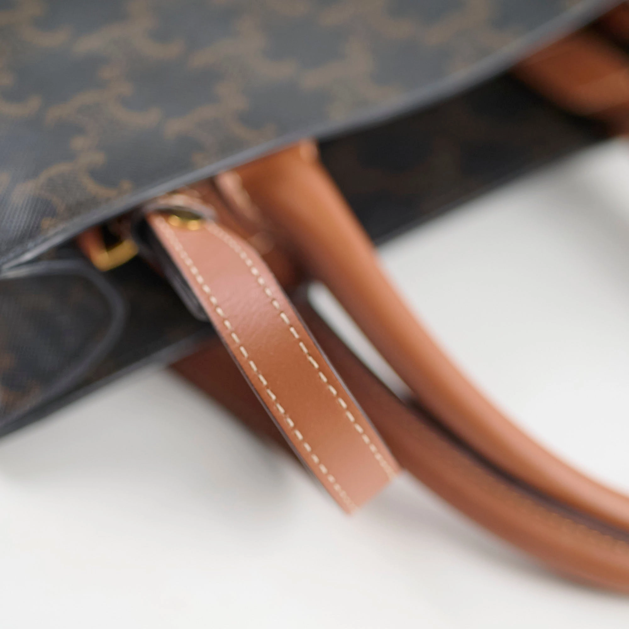 Celine Vertical Cabas Triomphe Canvas Tote with Celine Print