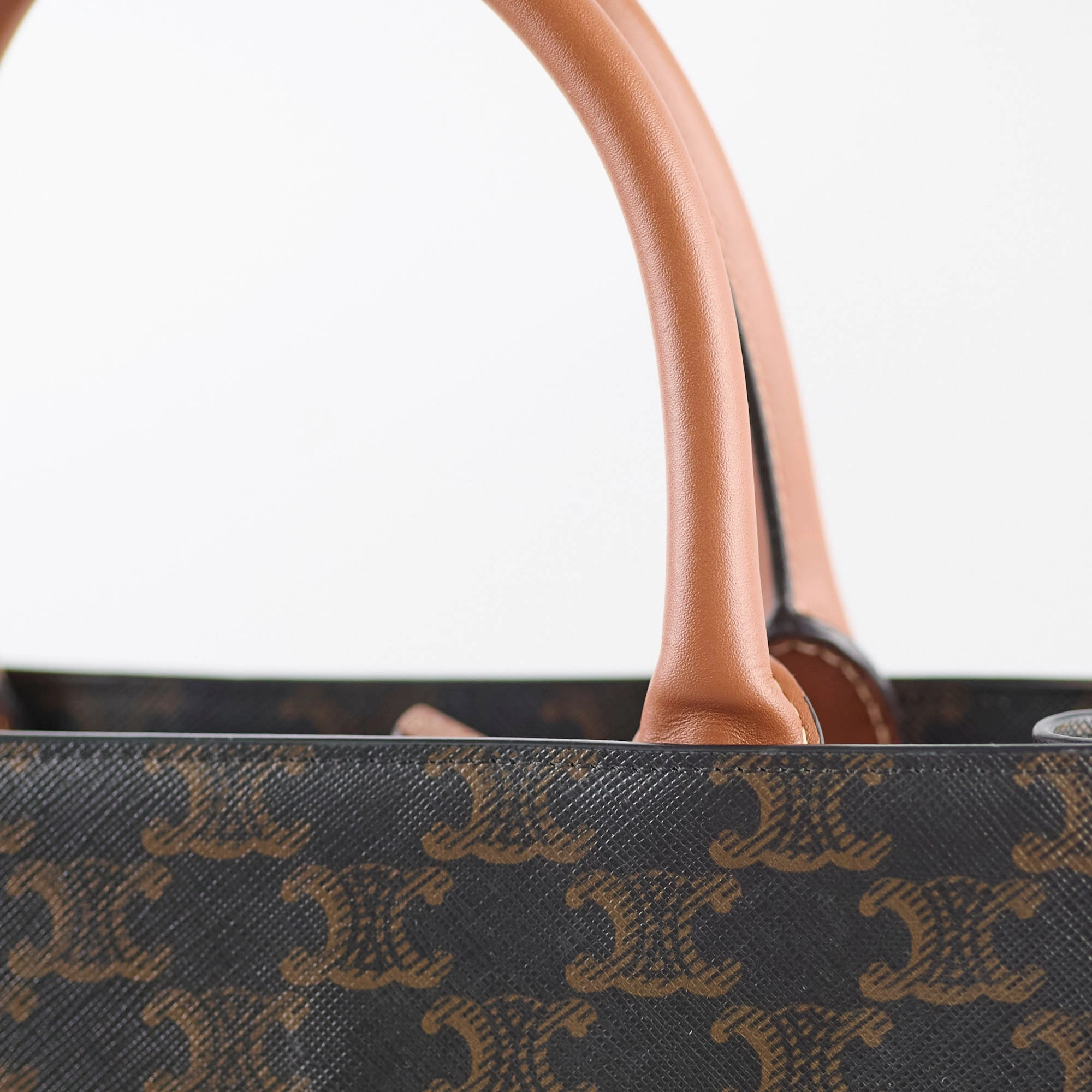 Celine Vertical Cabas Triomphe Canvas Tote with Celine Print