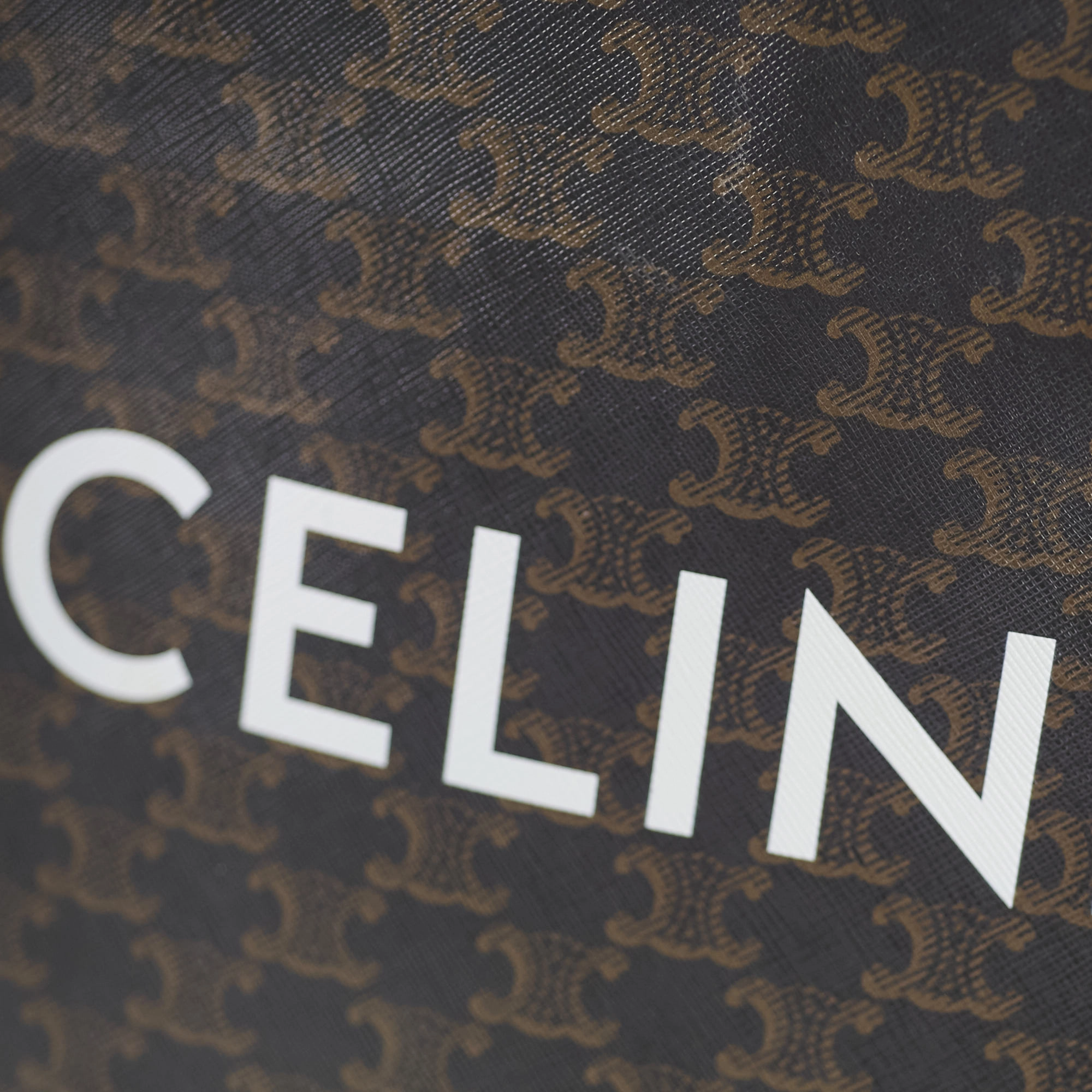 Celine Vertical Cabas Triomphe Canvas Tote with Celine Print