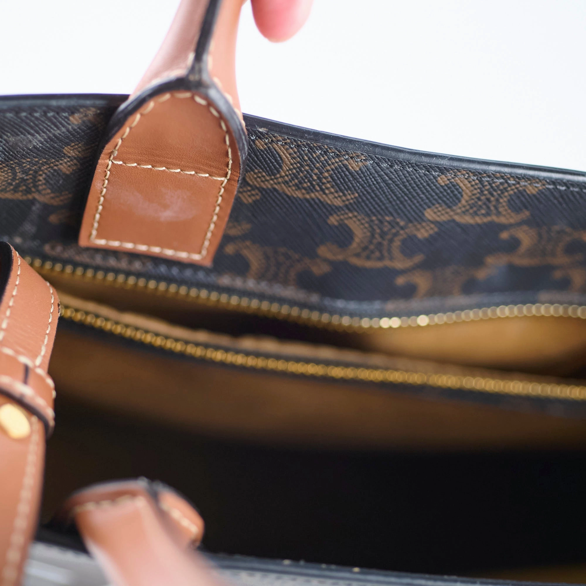 Celine Vertical Cabas Triomphe Canvas Tote with Celine Print