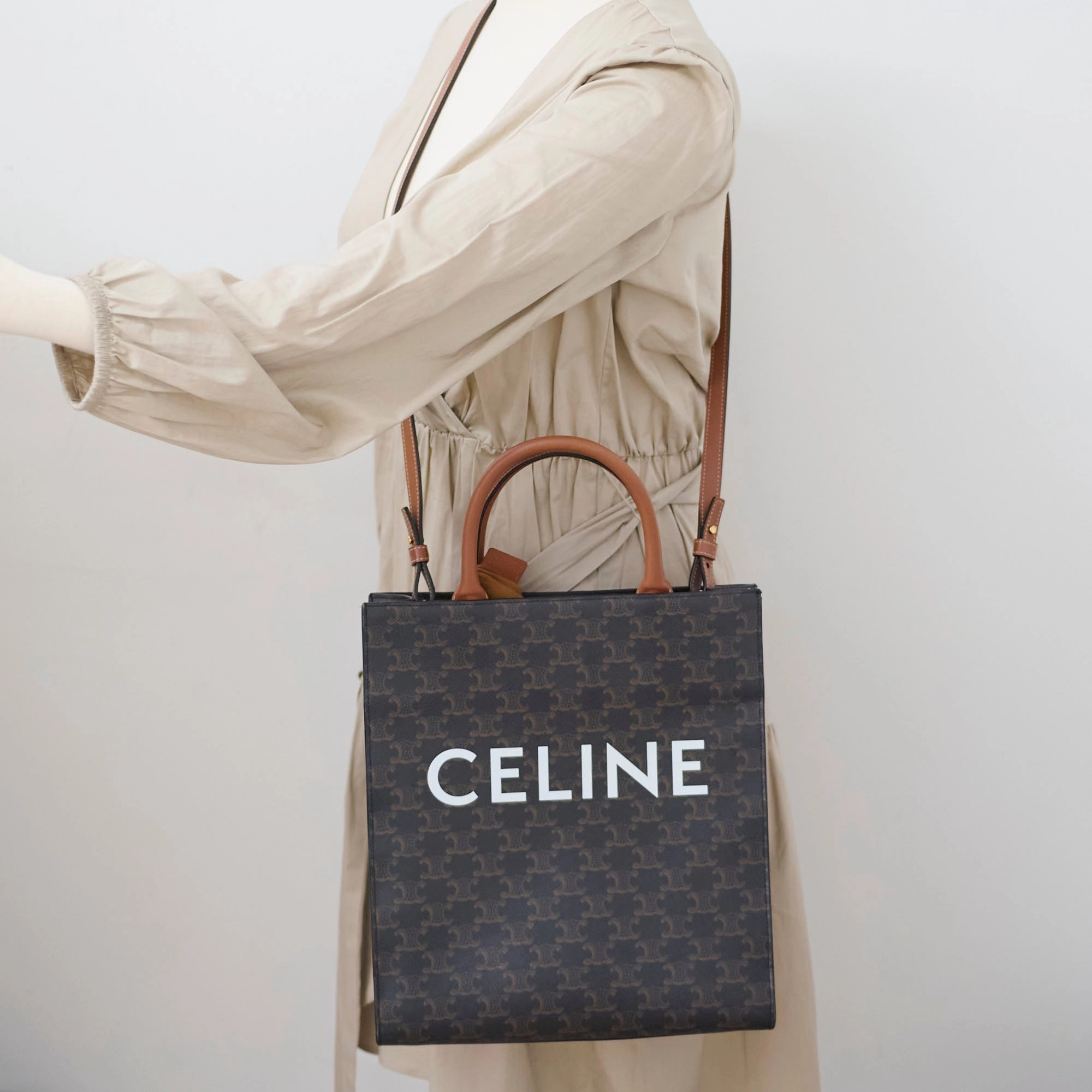 Celine Vertical Cabas Triomphe Canvas Tote with Celine Print