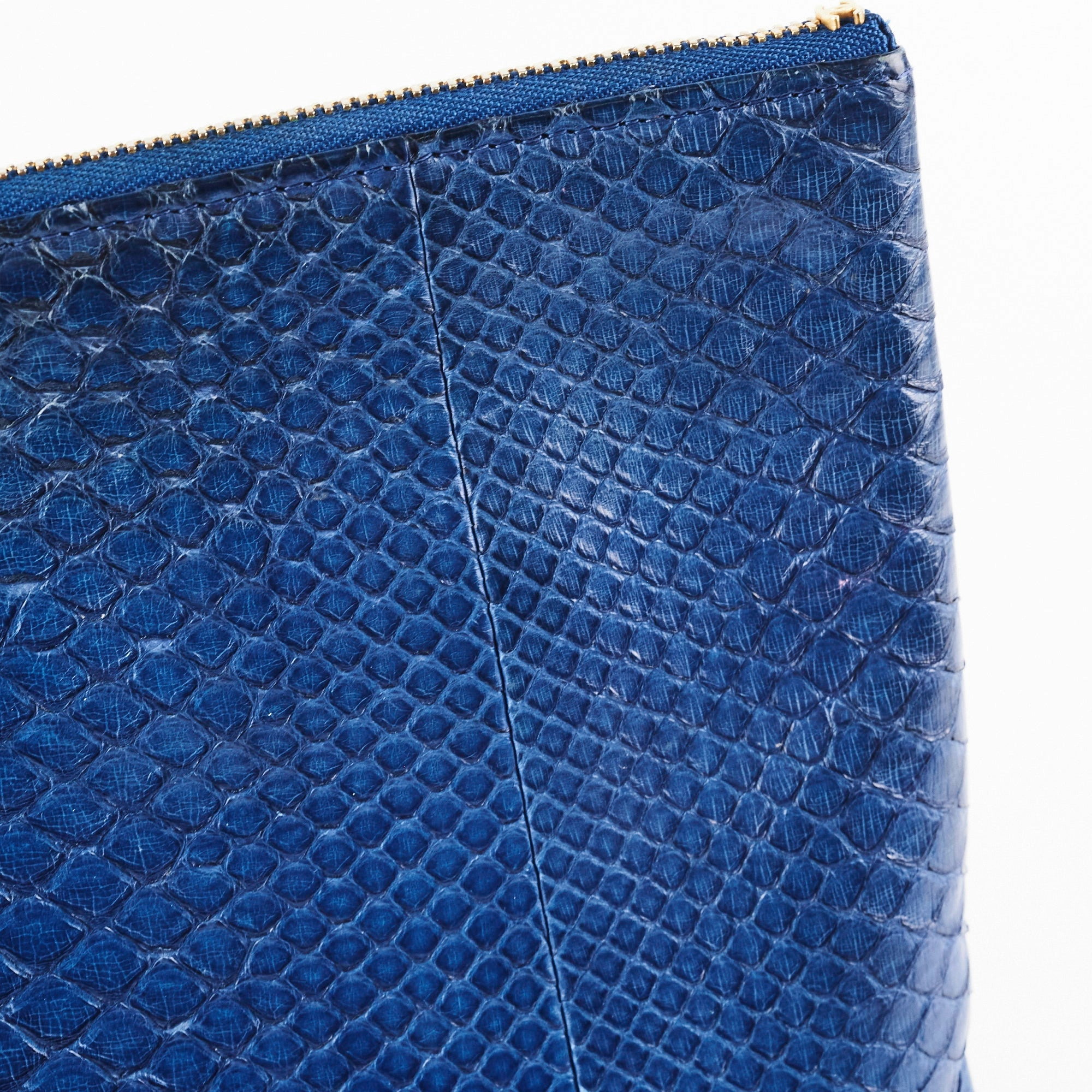 Chanel O case Medium Exotic Leather Blue