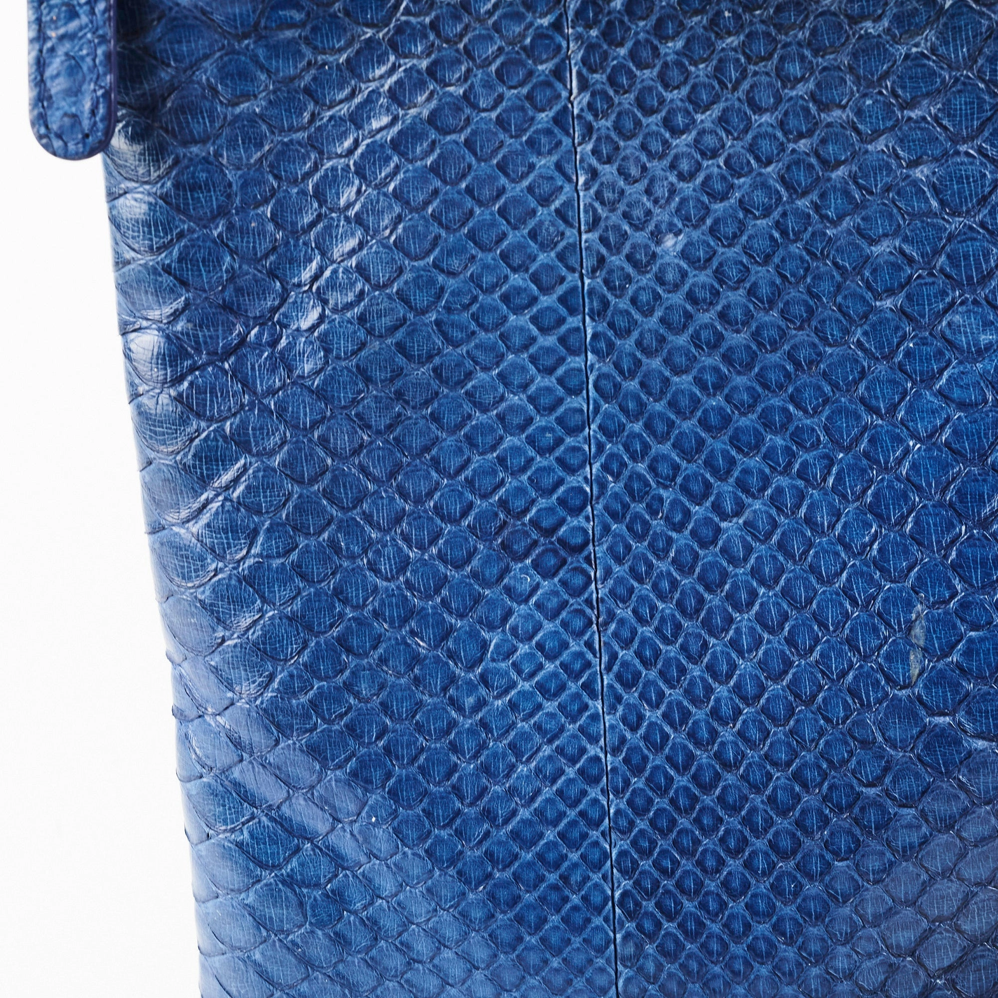 Chanel O case Medium Exotic Leather Blue