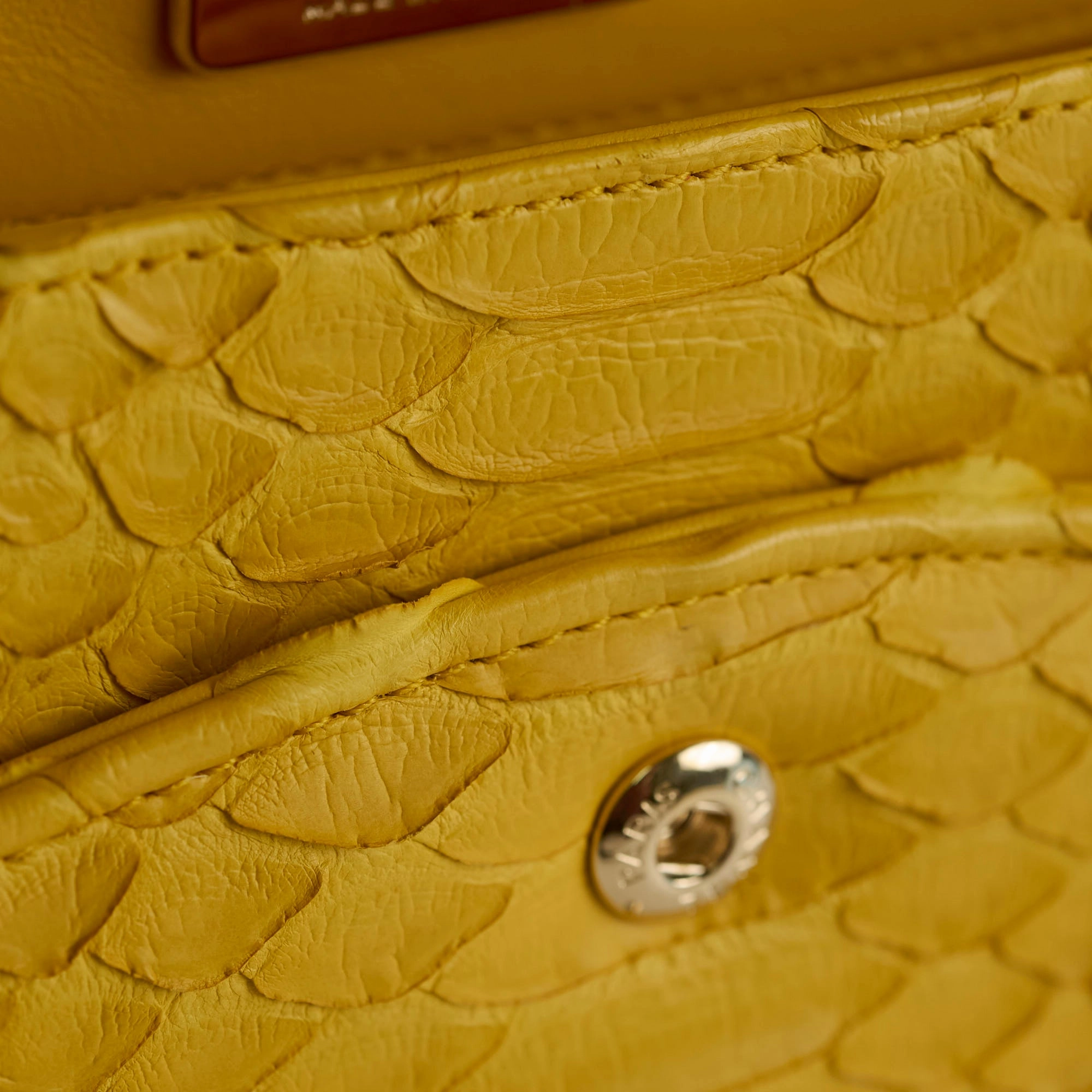 Chanel Python Medium M/L Classic Flap Yellow Series 22