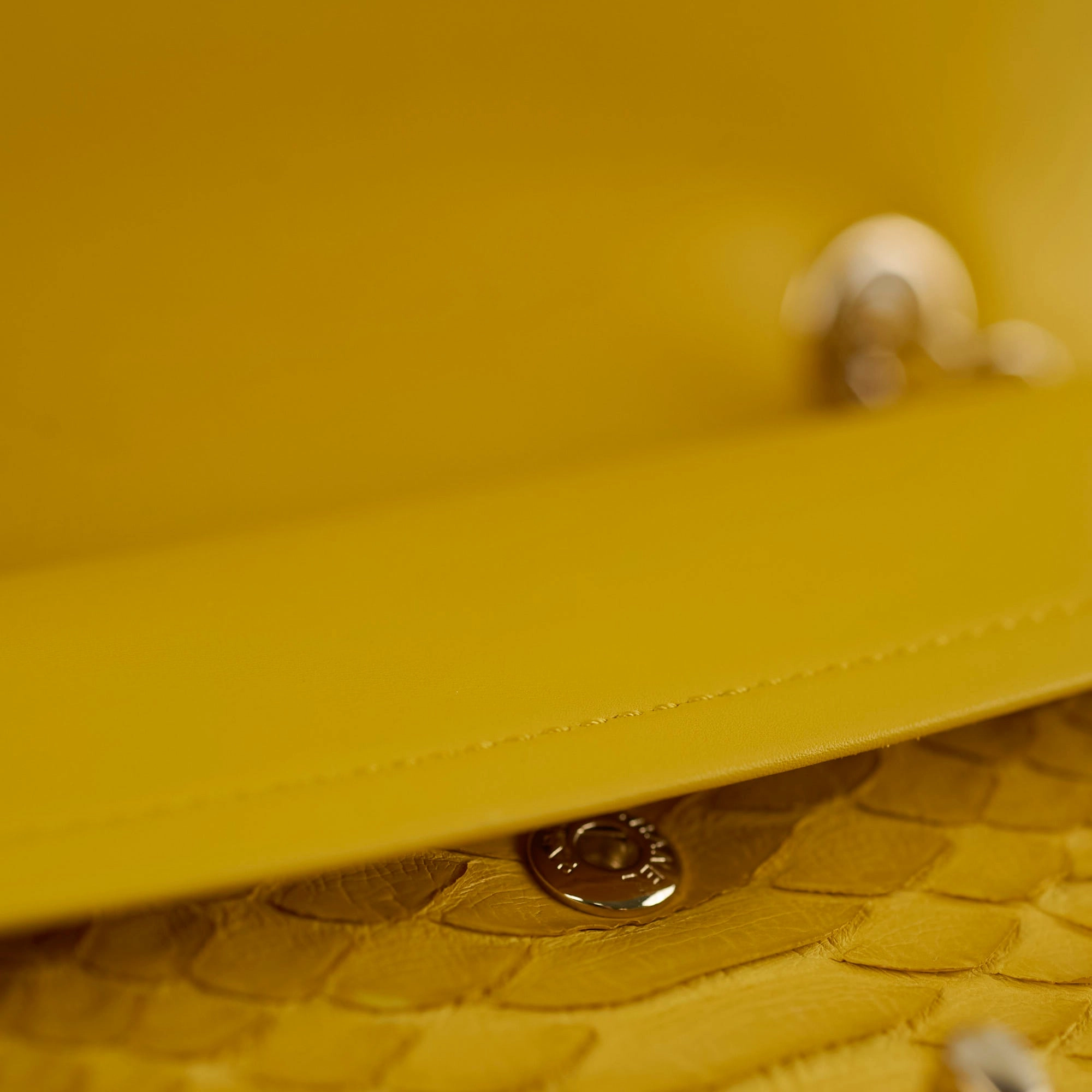 Chanel Python Medium M/L Classic Flap Yellow Series 22