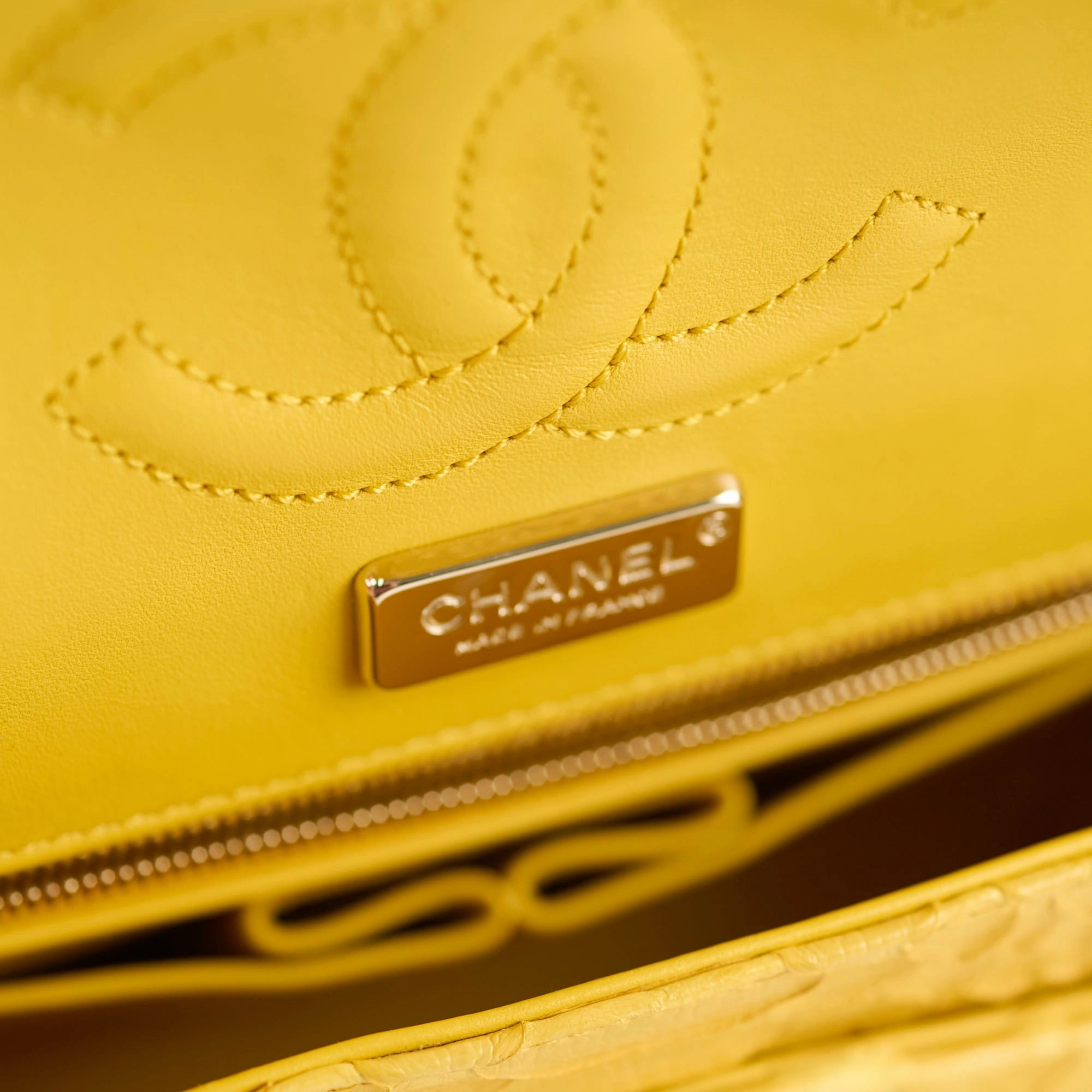 Chanel Python Medium M/L Classic Flap Yellow Series 22