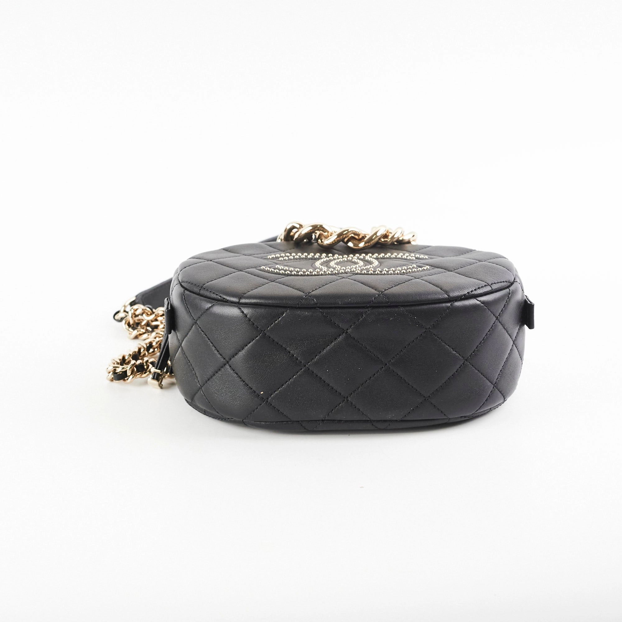 Chanel SS 2020 Seasonal Bag