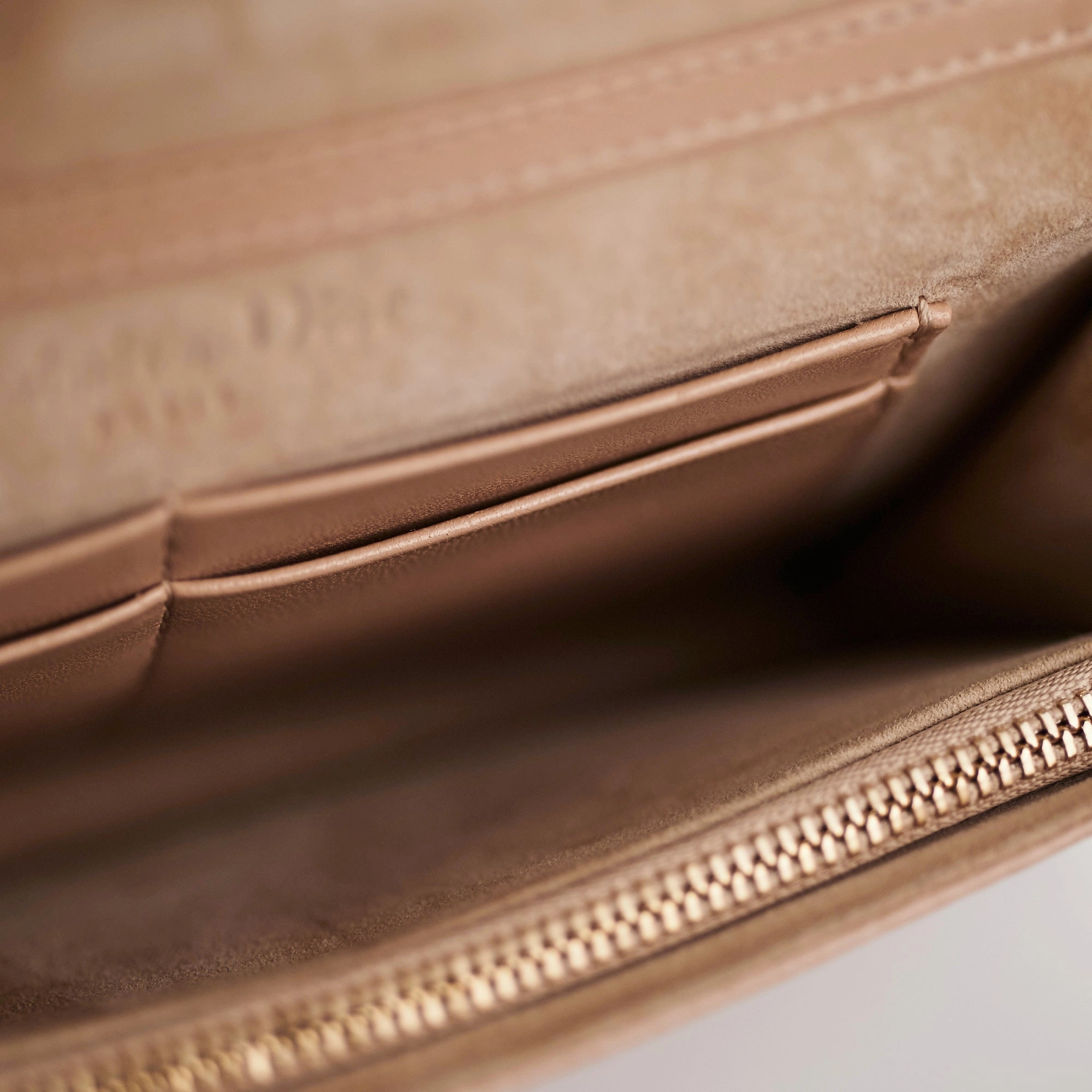 Dior Diorama Wallet on Chain WOC Beige/Pink