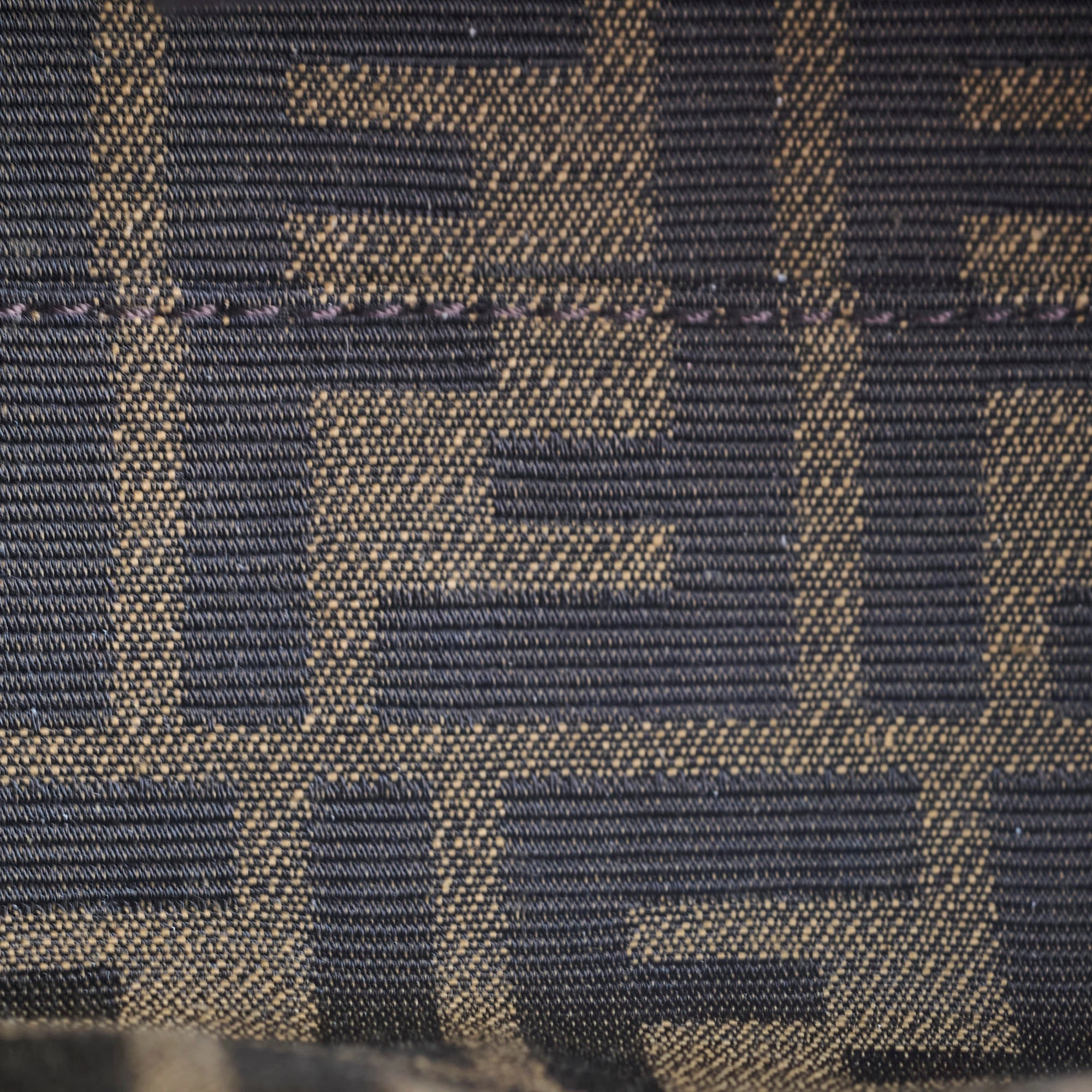 Fendi Mini By The Way Canvas