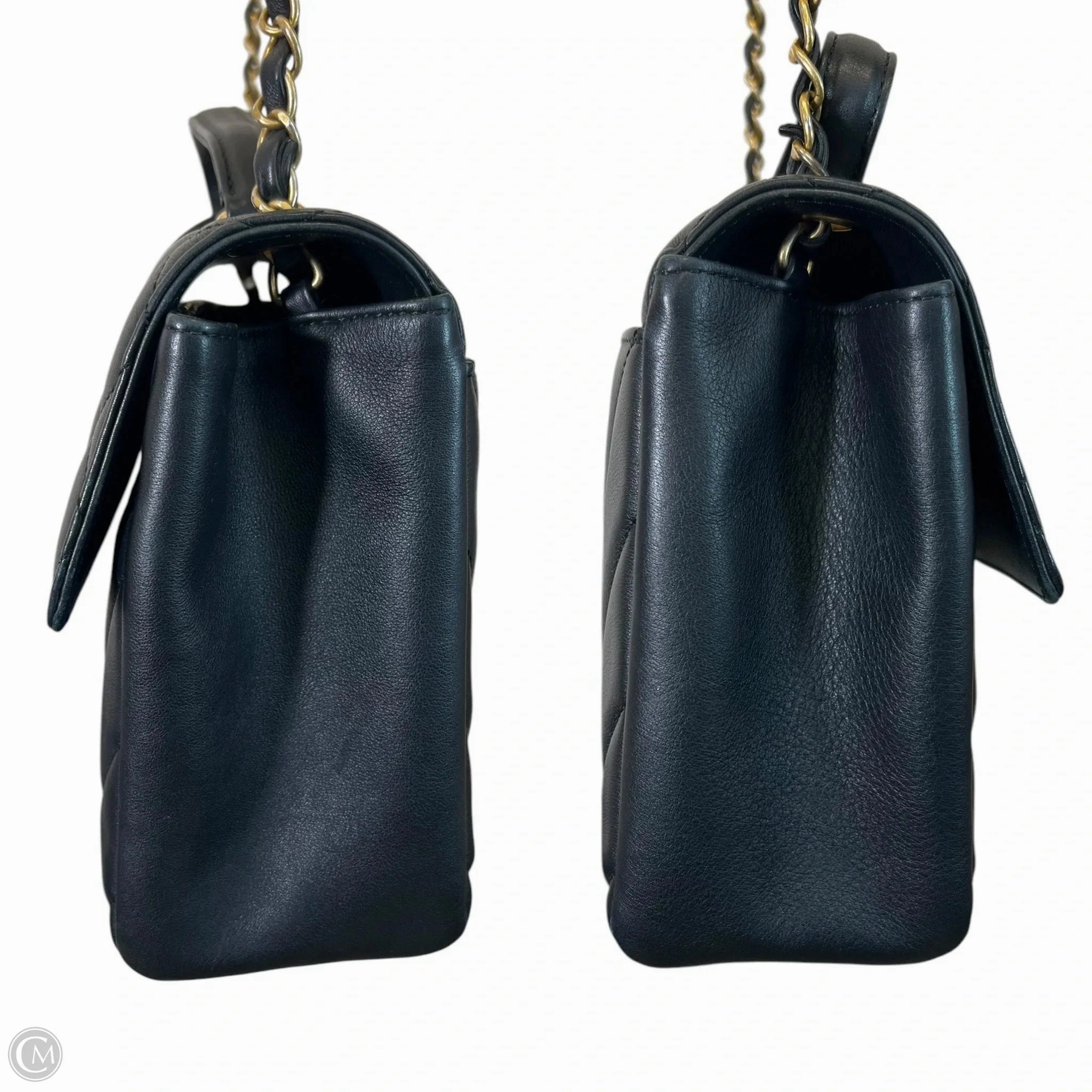 Handbag Luxury Designer By Chanel, Size: Medium
