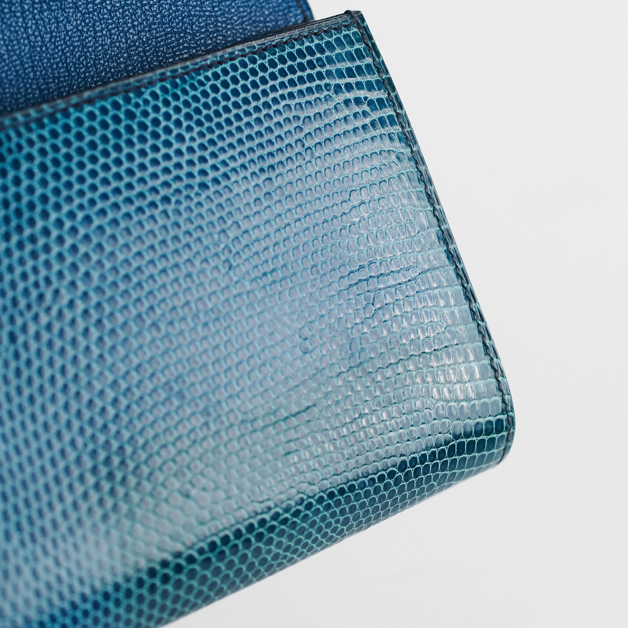 Hermes Medor Lizard Clutch - R Stamp 2014