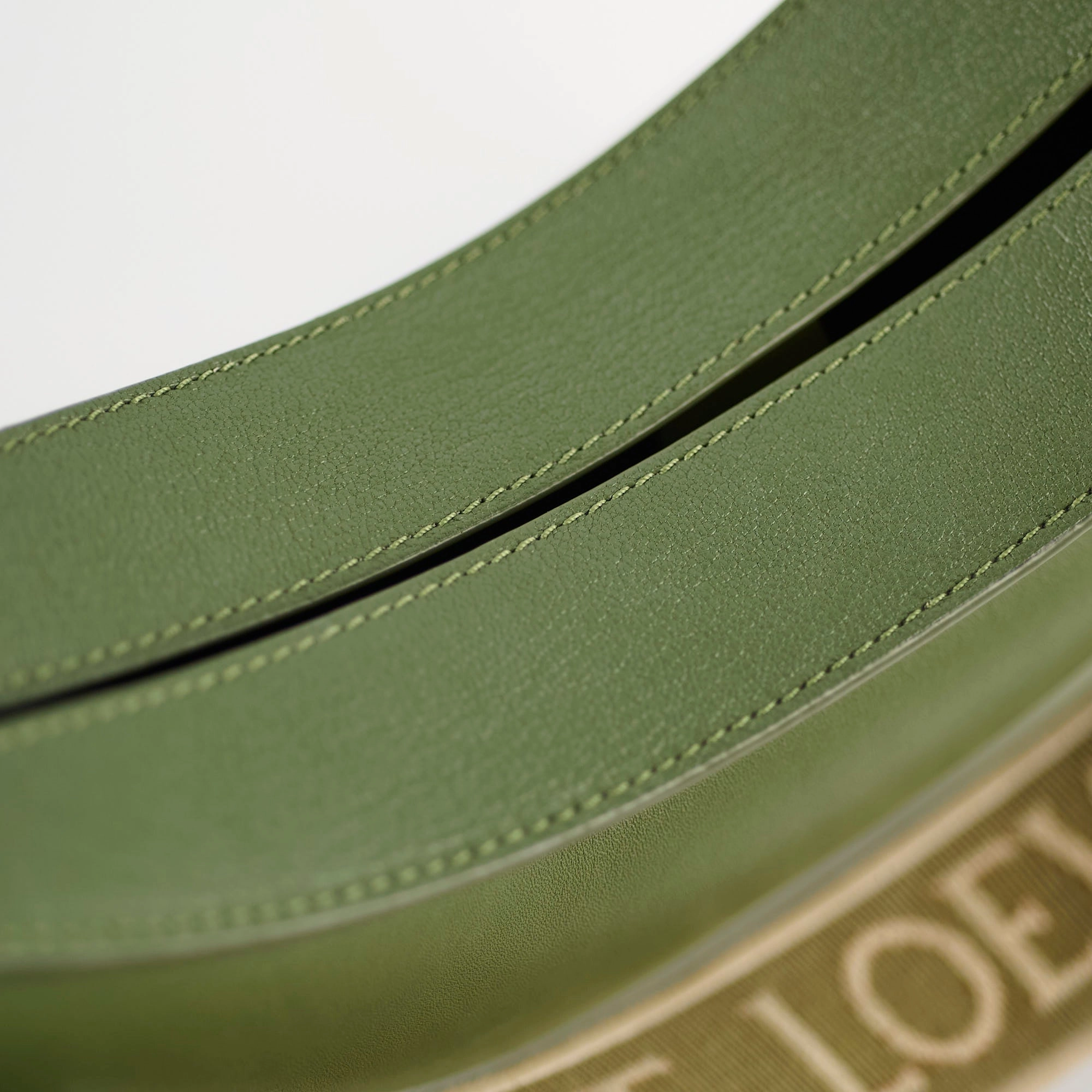 Loewe Luna Bag Green