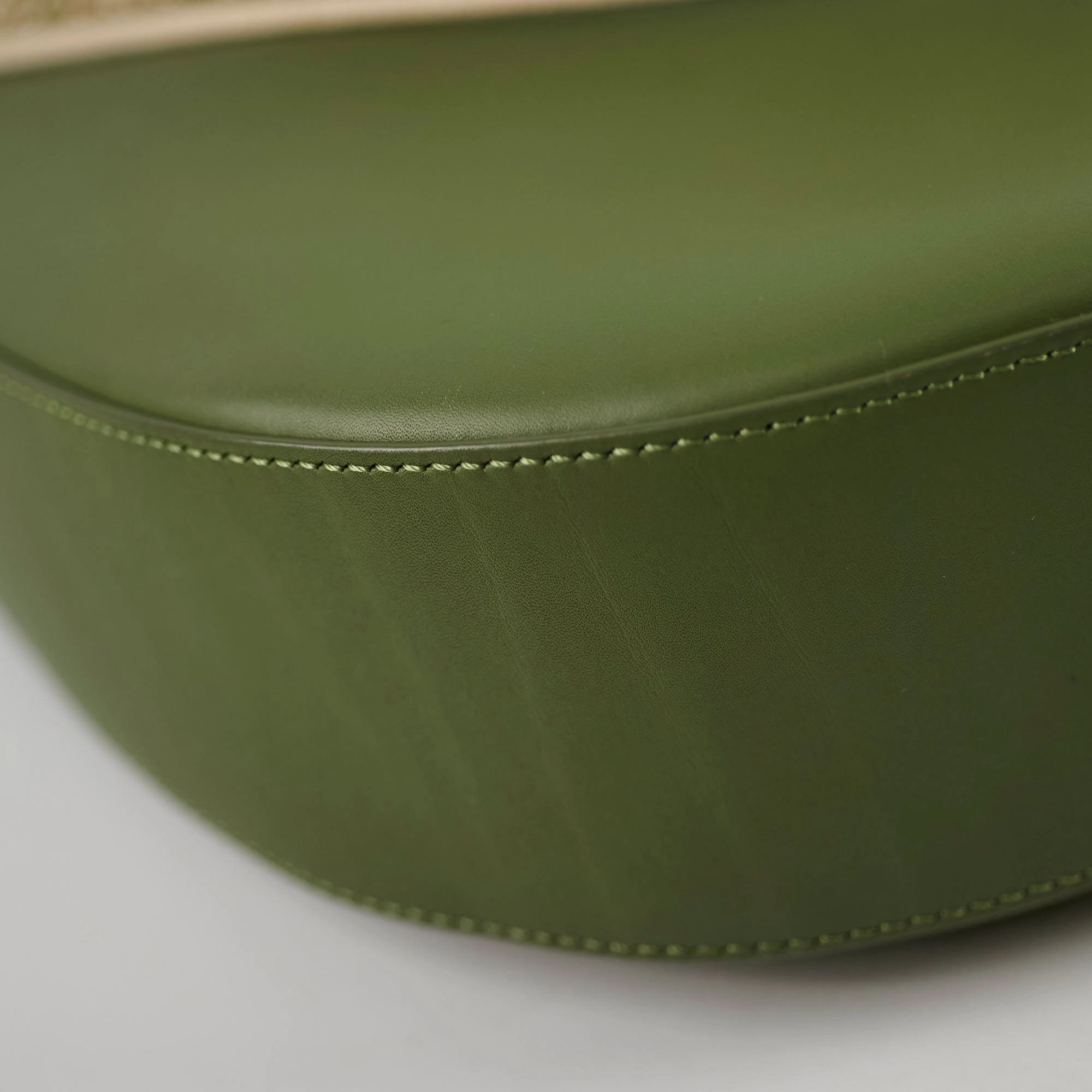 Loewe Luna Bag Green
