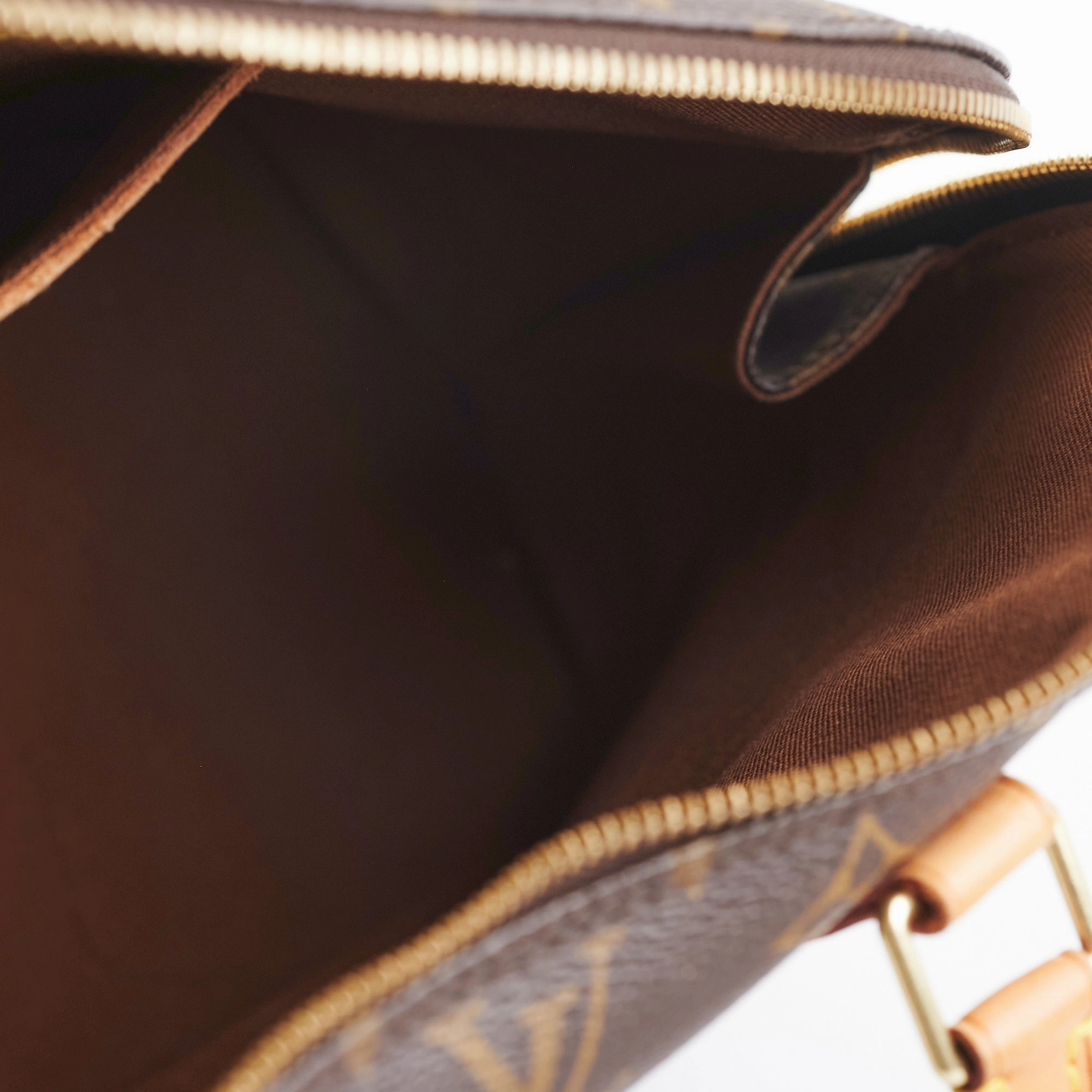 Louis Vuitton Alma PM Monogram Bag