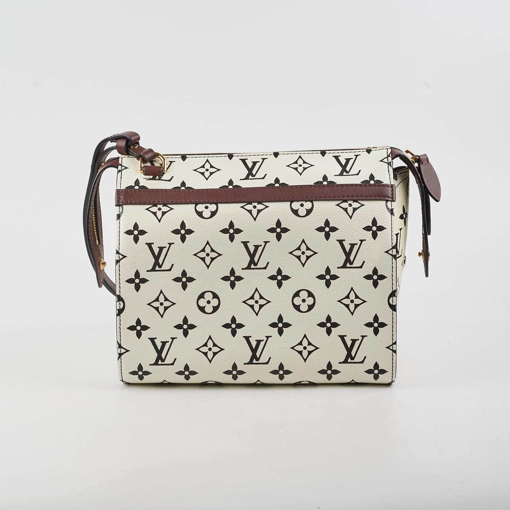 Louis Vuitton Amazon Speedy PM Monogram