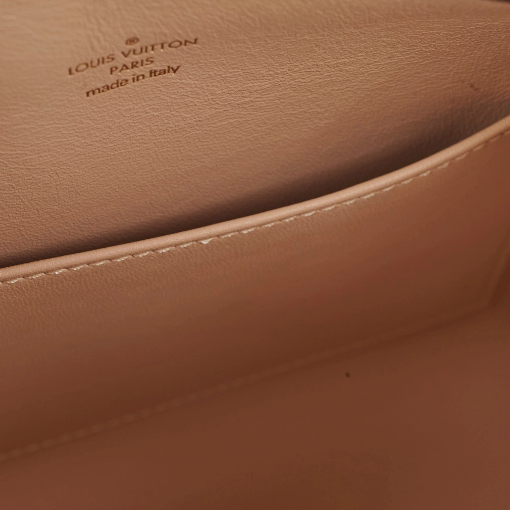 Louis Vuitton Amazon Speedy PM Monogram