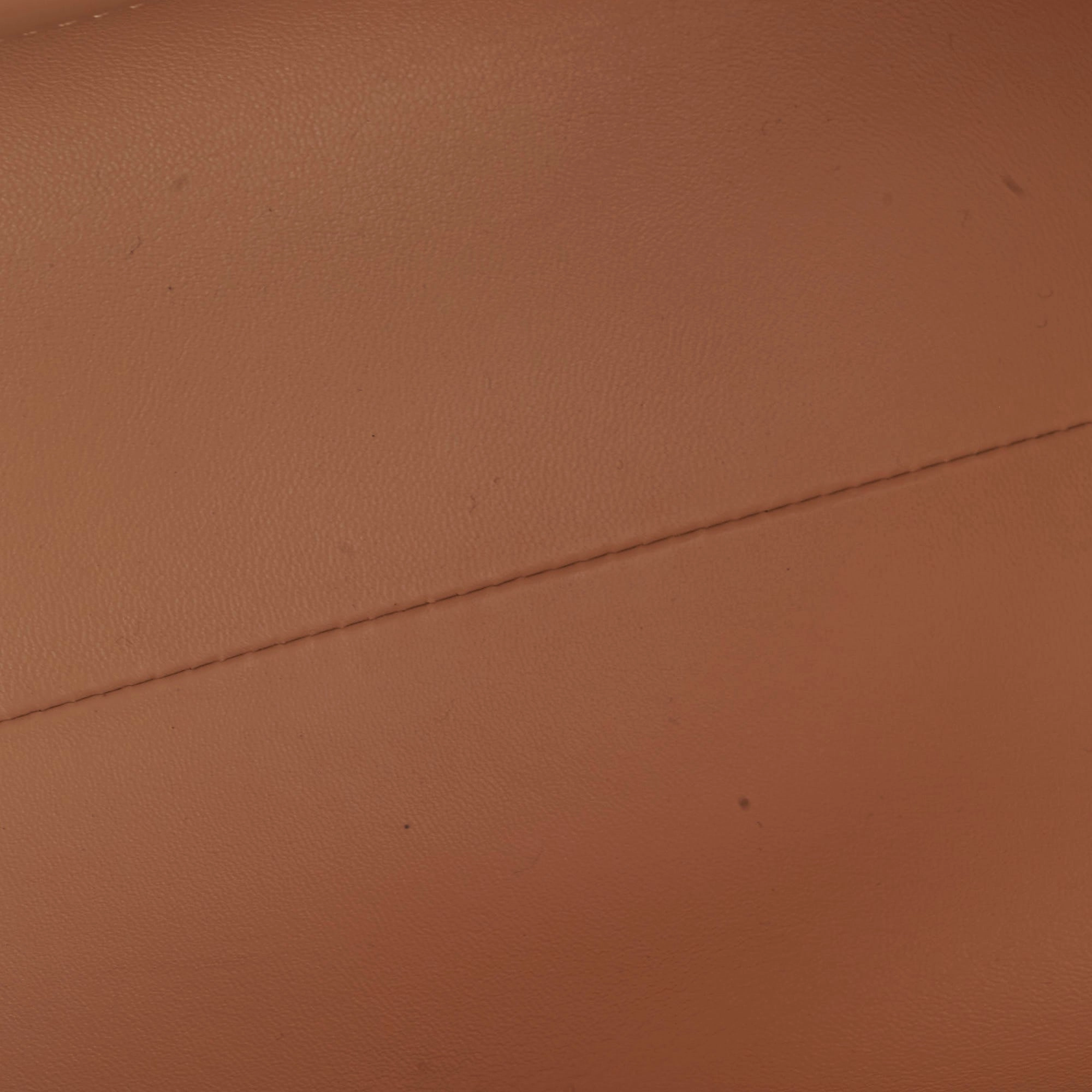 Louis Vuitton Amazon Speedy PM Monogram