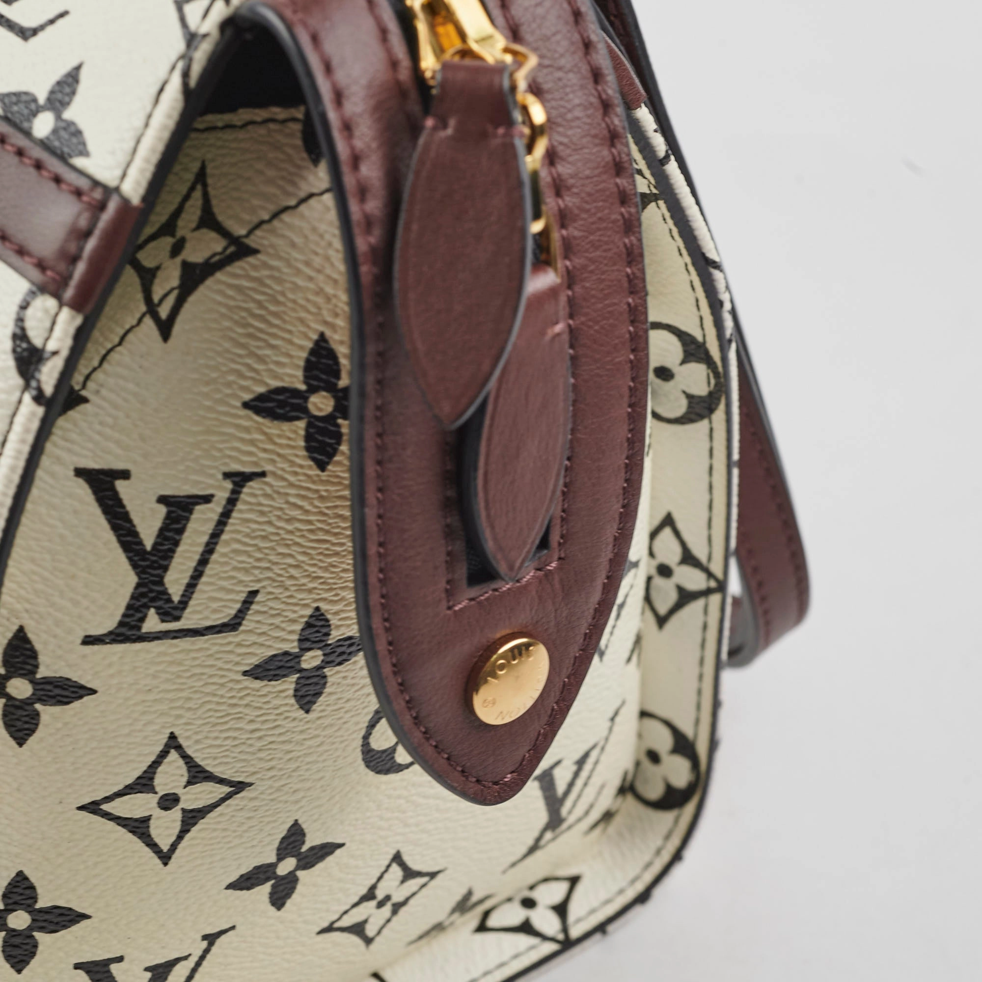 Louis Vuitton Amazon Speedy PM Monogram