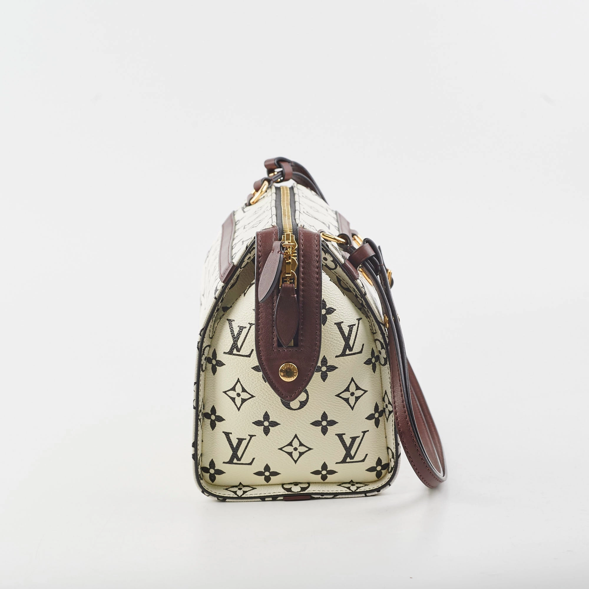 Louis Vuitton Amazon Speedy PM Monogram