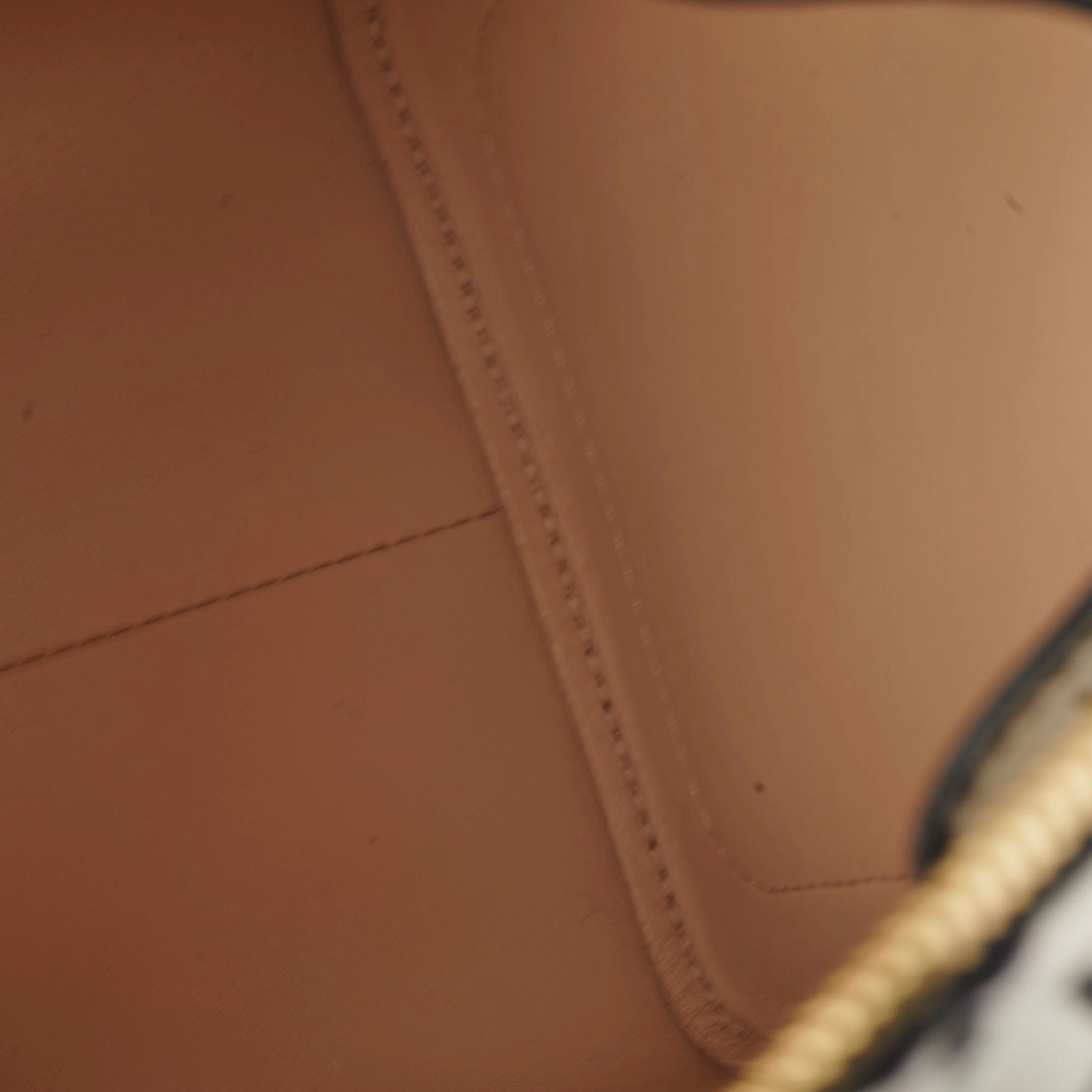 Louis Vuitton Amazon Speedy PM Monogram
