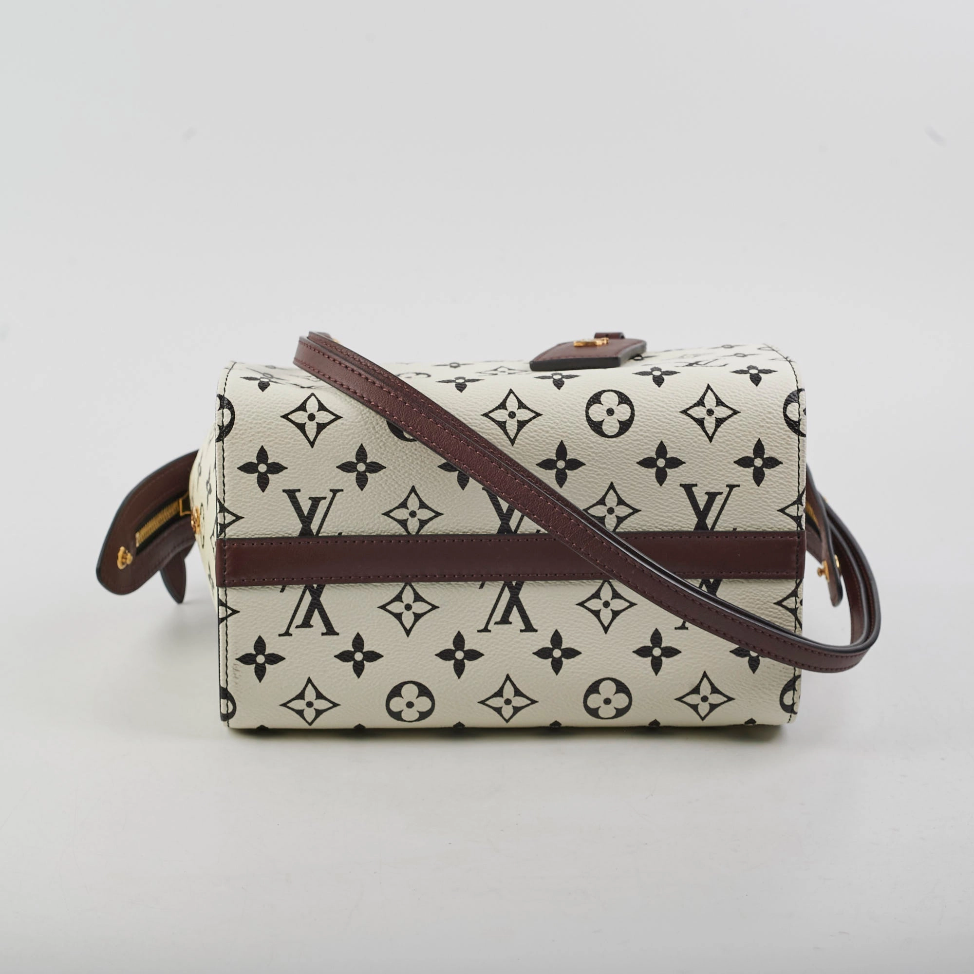 Louis Vuitton Amazon Speedy PM Monogram
