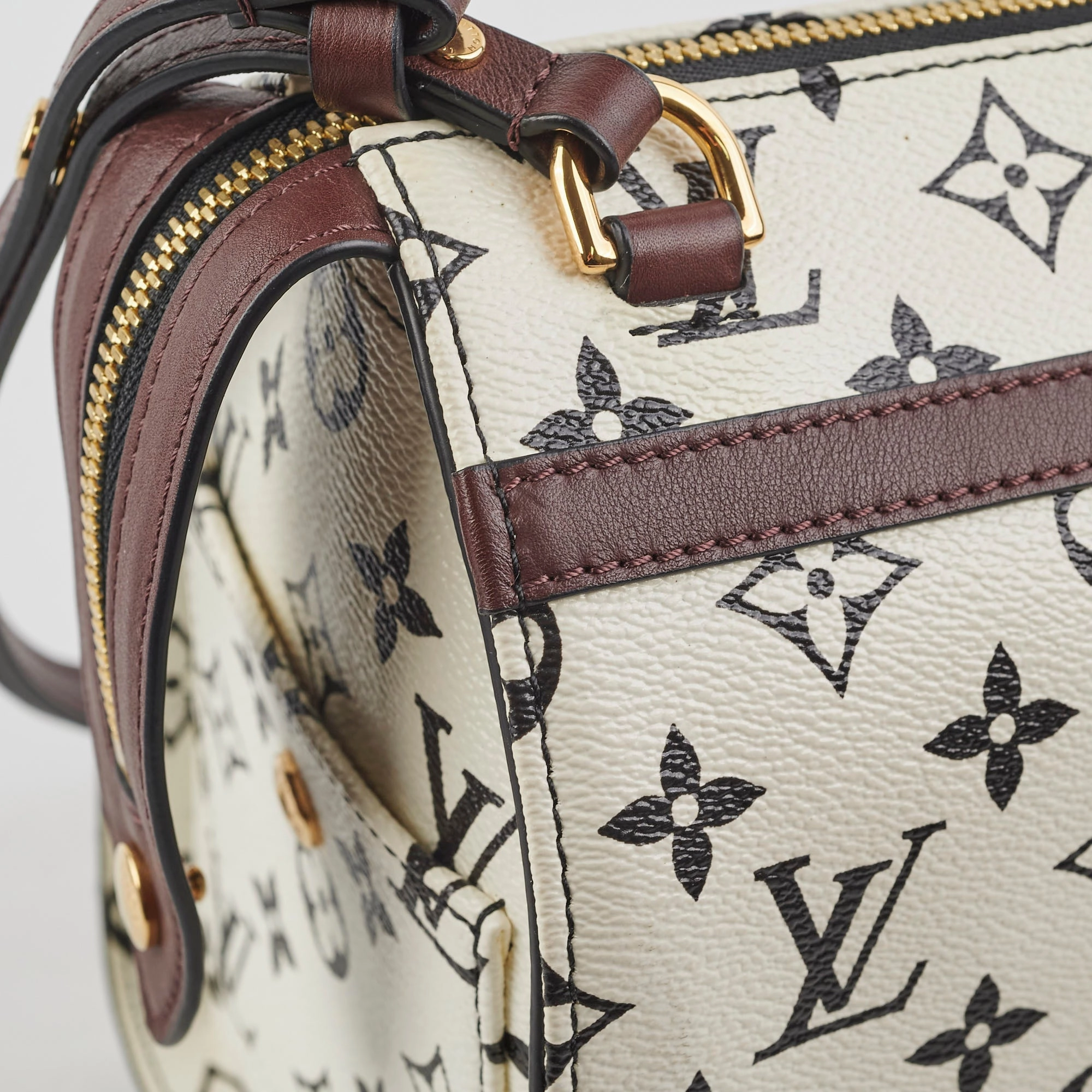 Louis Vuitton Amazon Speedy PM Monogram