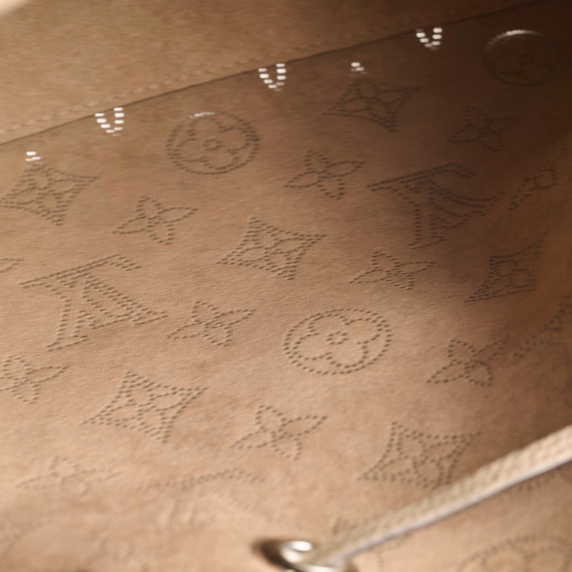 Louis Vuitton Bella Mahina Bucket Bag