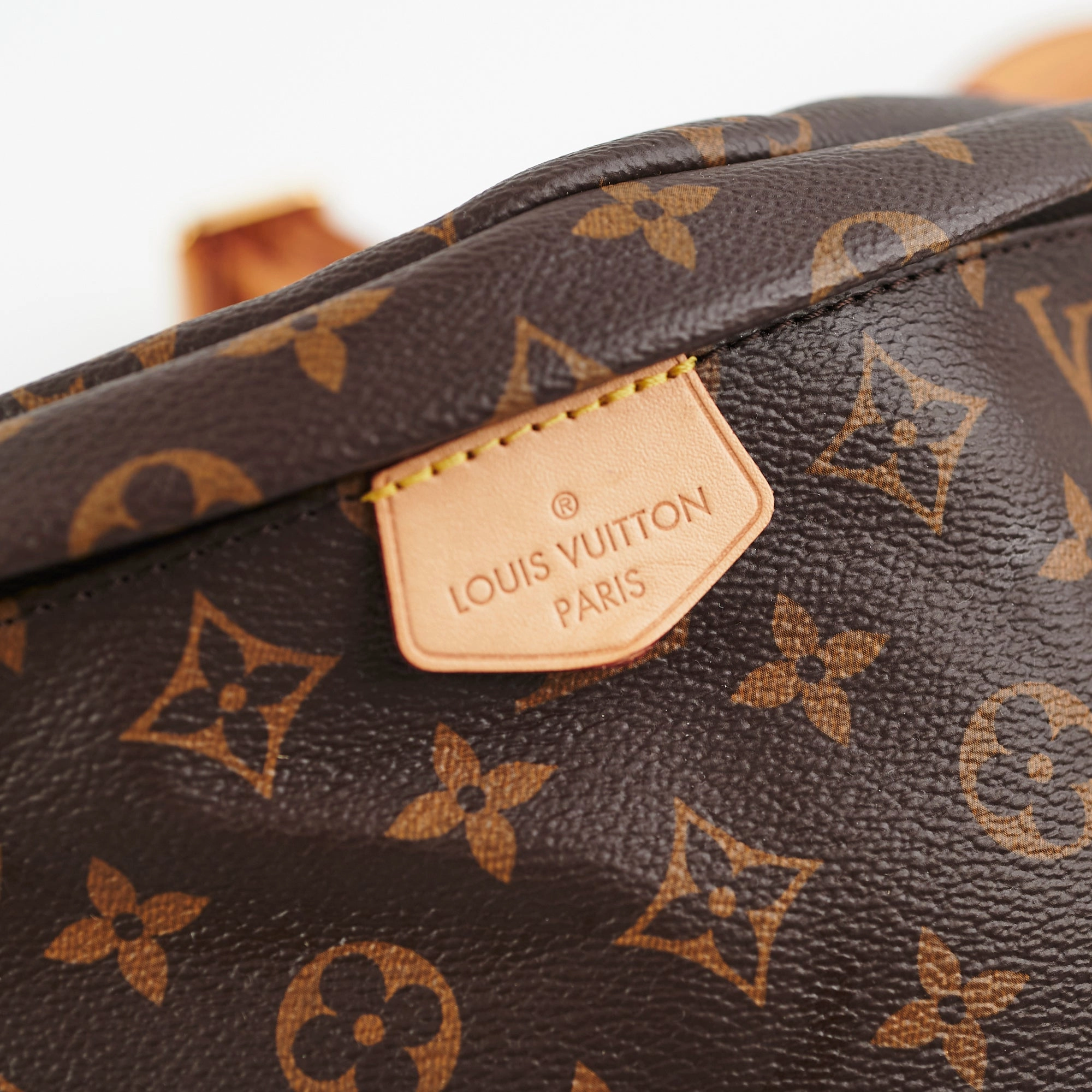 Louis Vuitton Bum bag MM Monogram