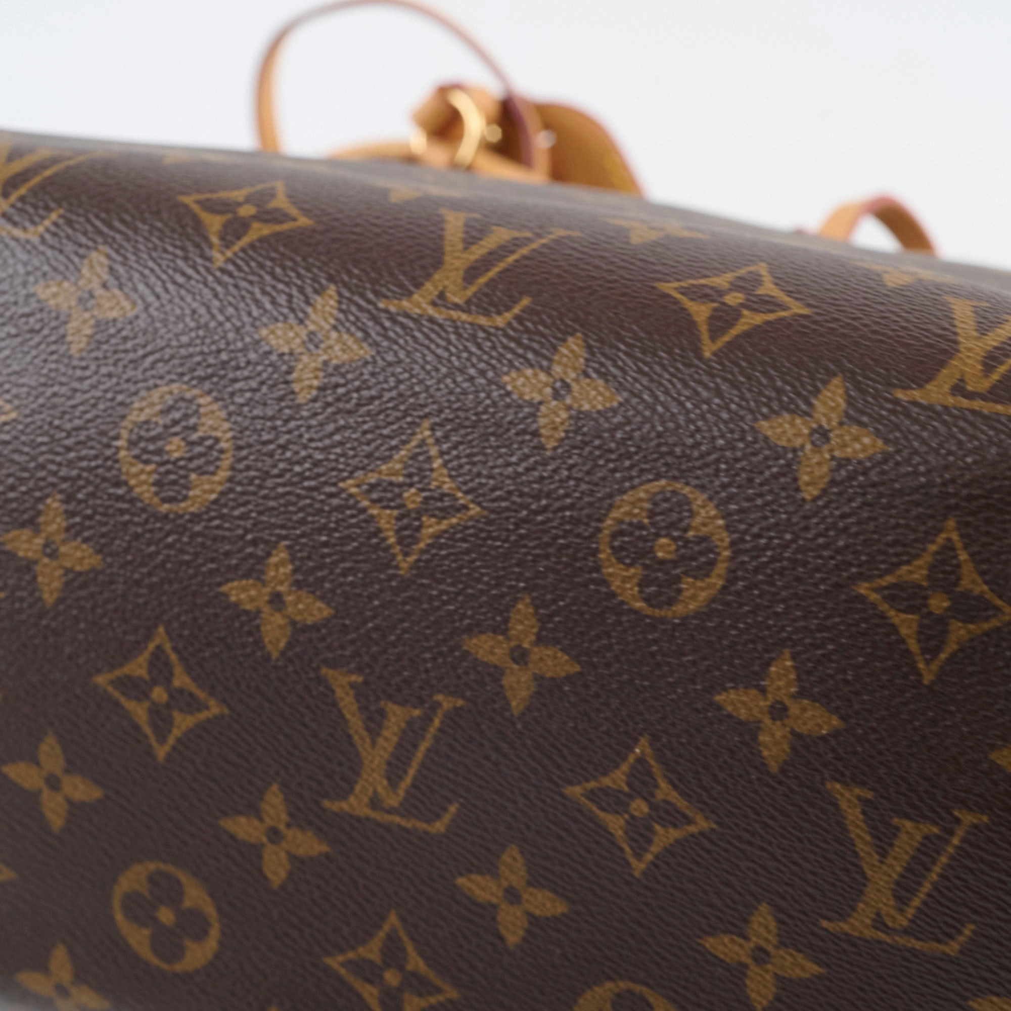 Louis Vuitton Carryall PM Monogram