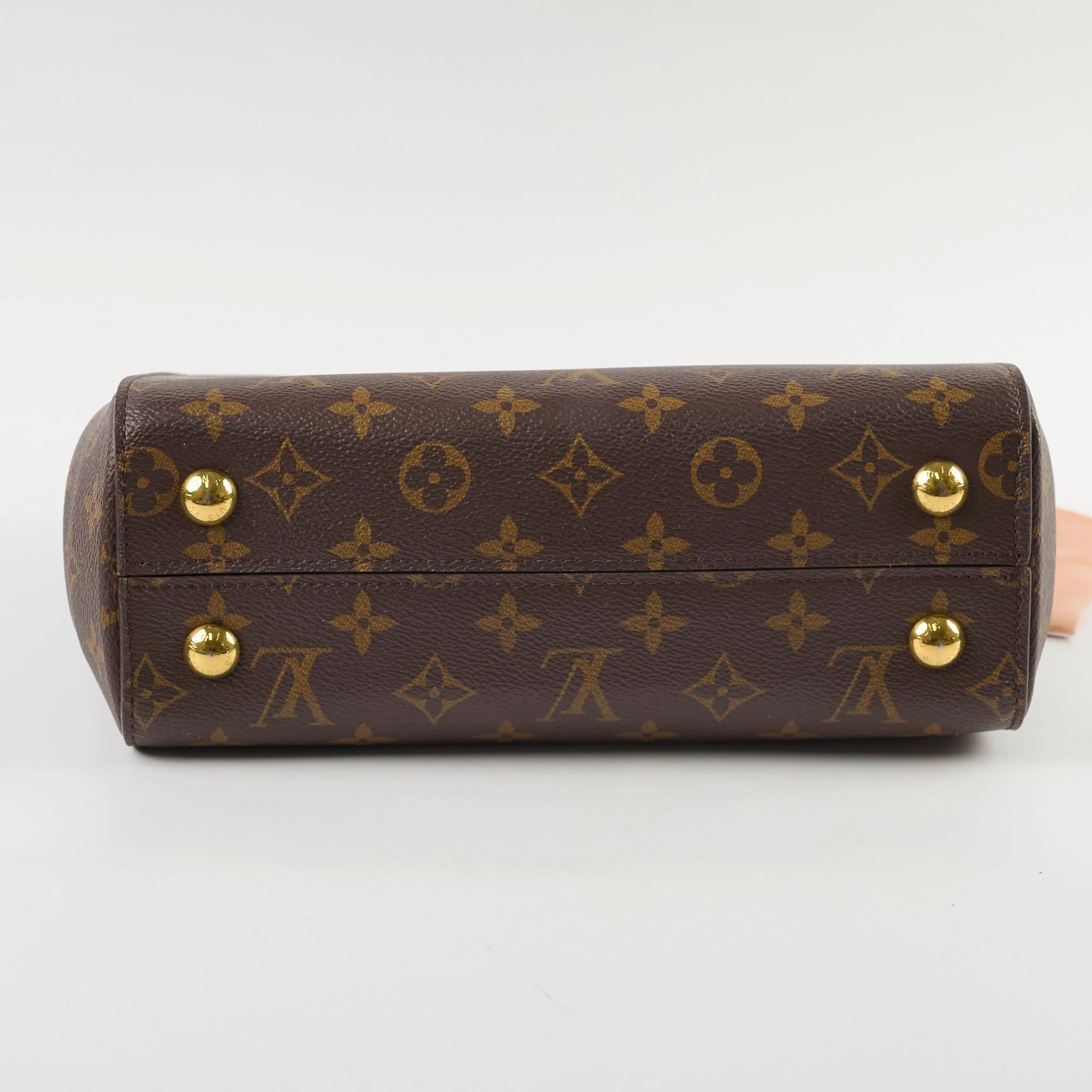 Louis Vuitton Clunny BB Monogram Microchip