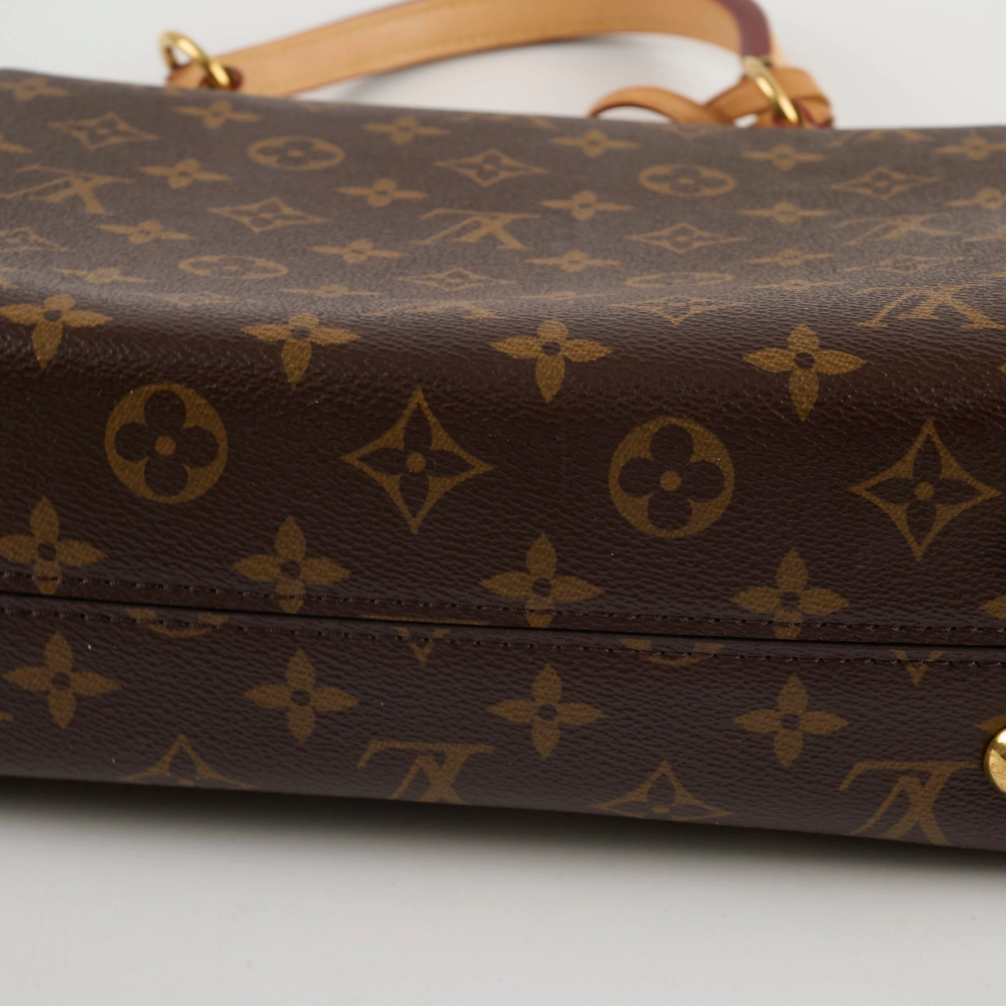 Louis Vuitton Cluny MM Monogram Microchip