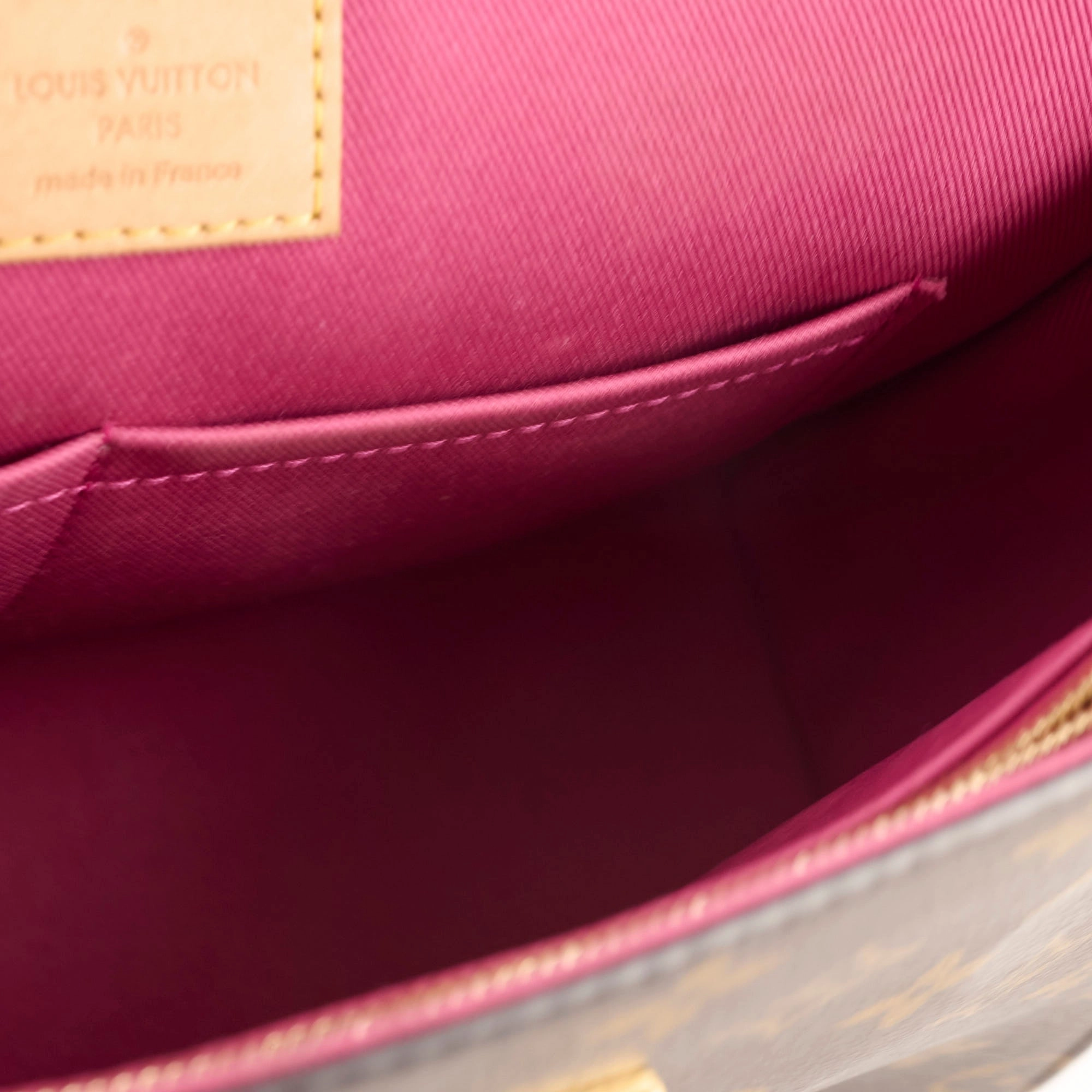 Louis Vuitton Cluny MM Monogram Microchip