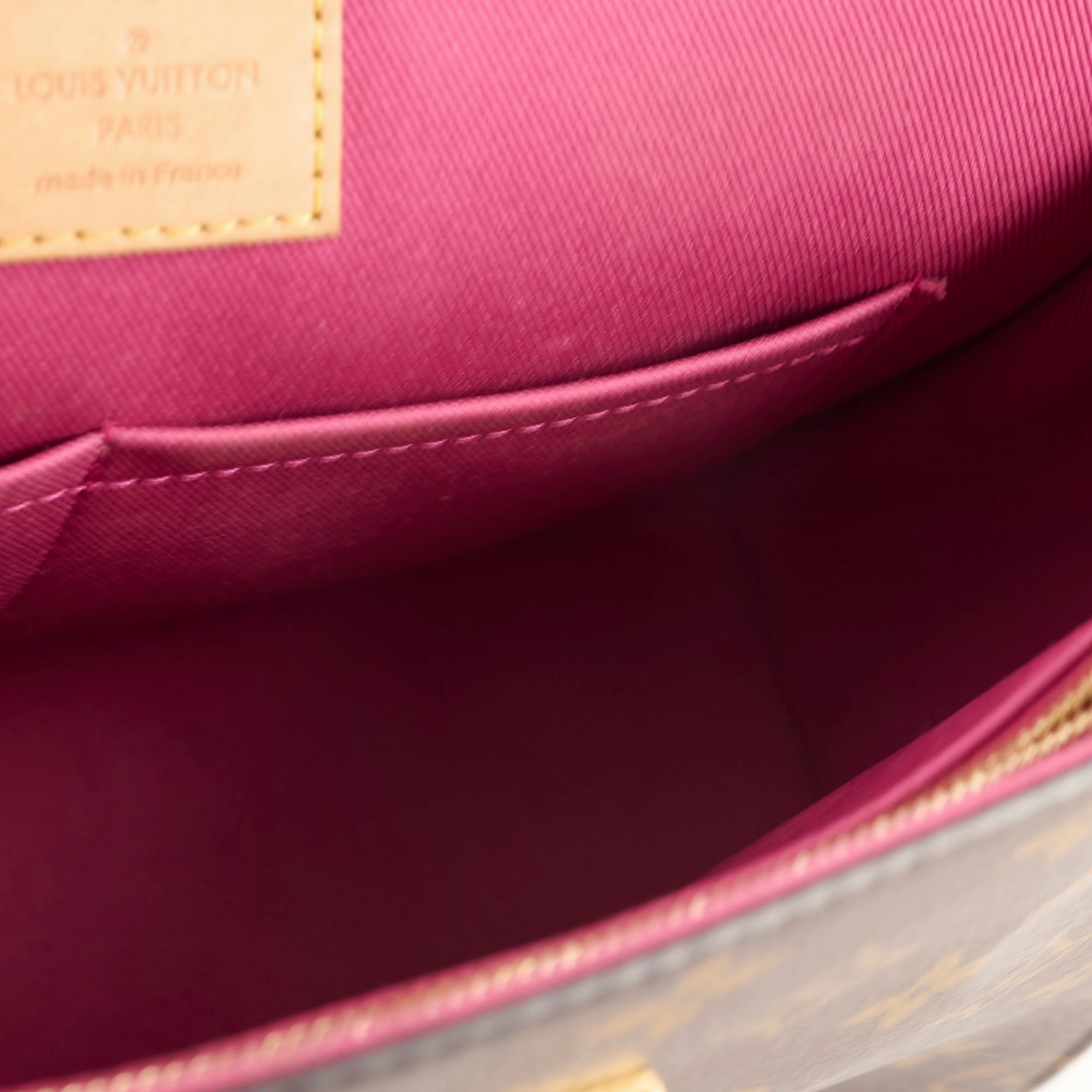 Louis Vuitton Cluny MM Monogram Microchip