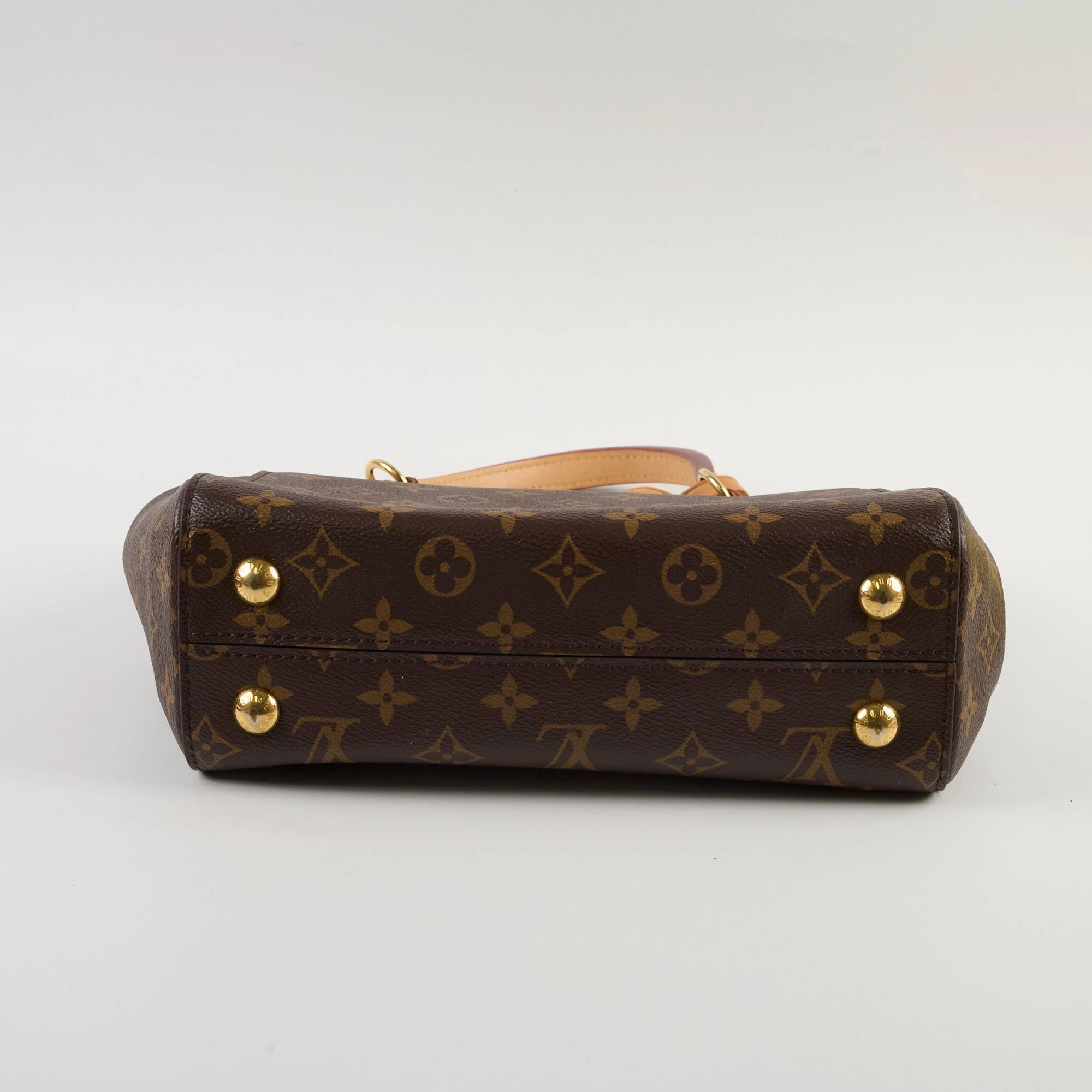 Louis Vuitton Cluny MM Monogram Microchip