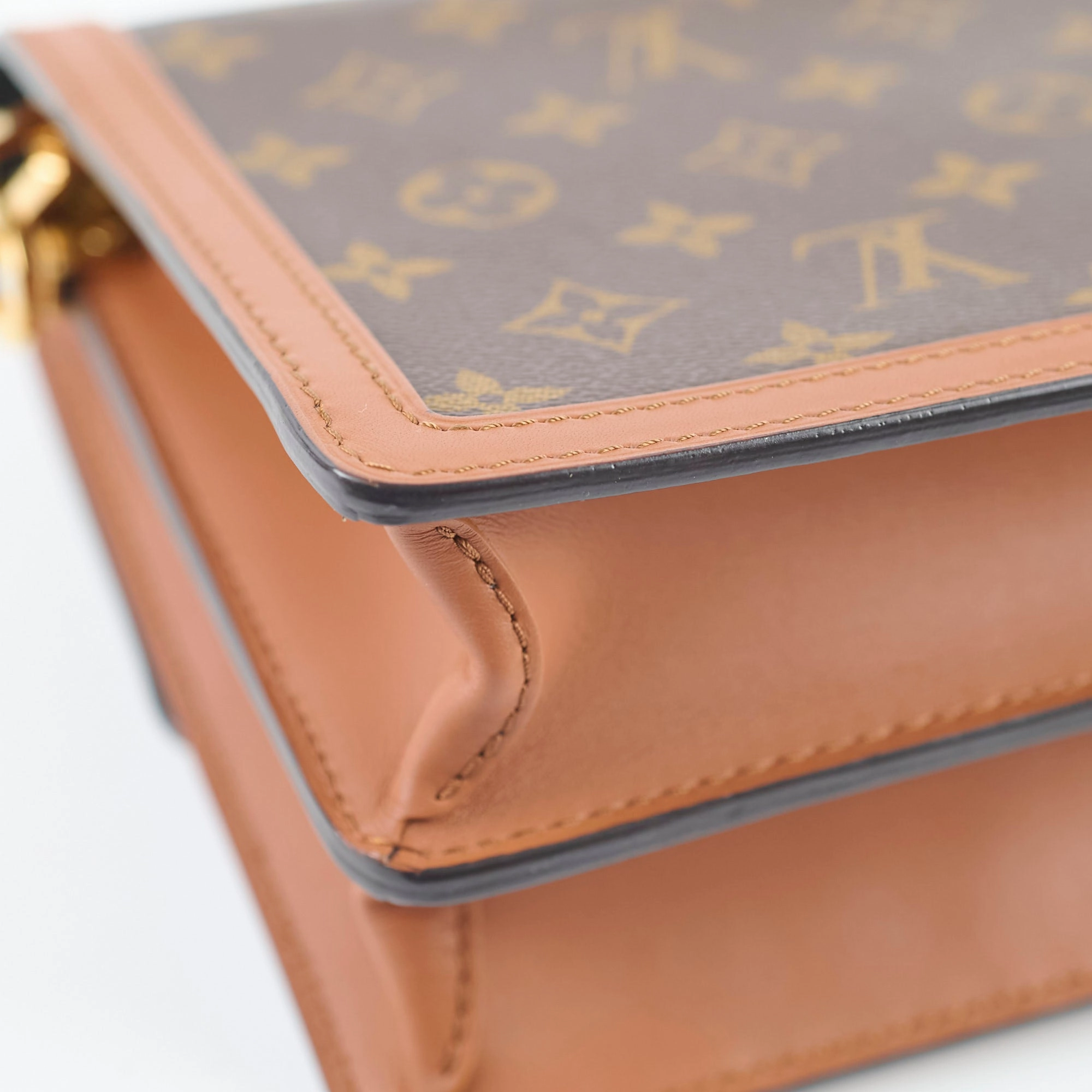 Louis Vuitton Dauphine Reverse Monogram Microchip